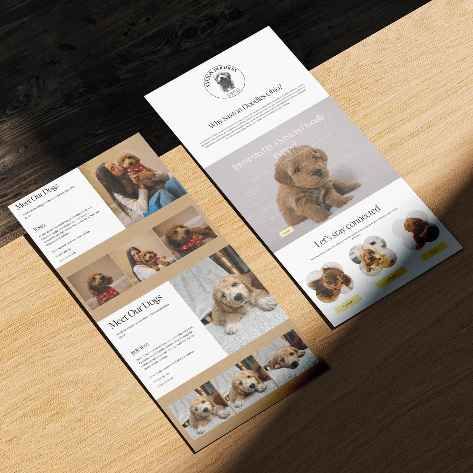Friendly puppy breeding website branding with boho styling for a small business