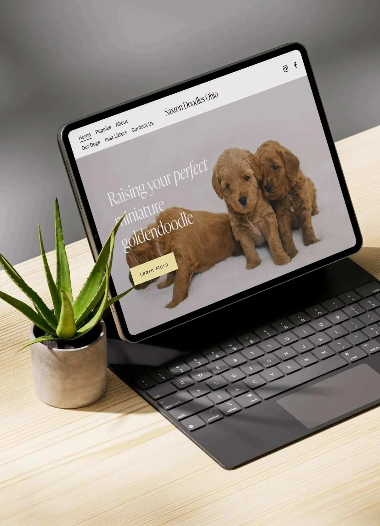 Website homepage design for dog breeding business