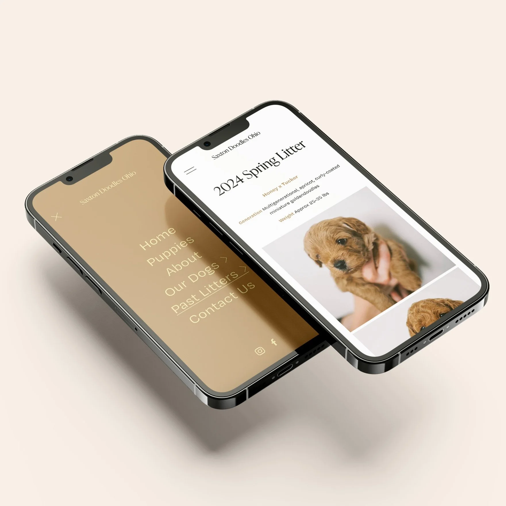 Warm, boho visual identity refresh for a small puppy breeding business website