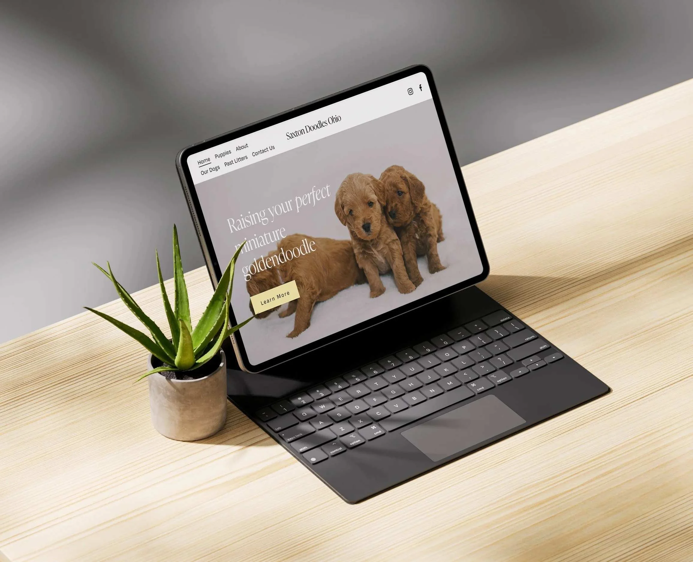 Warm, boho visual identity refresh for a small puppy breeding business website