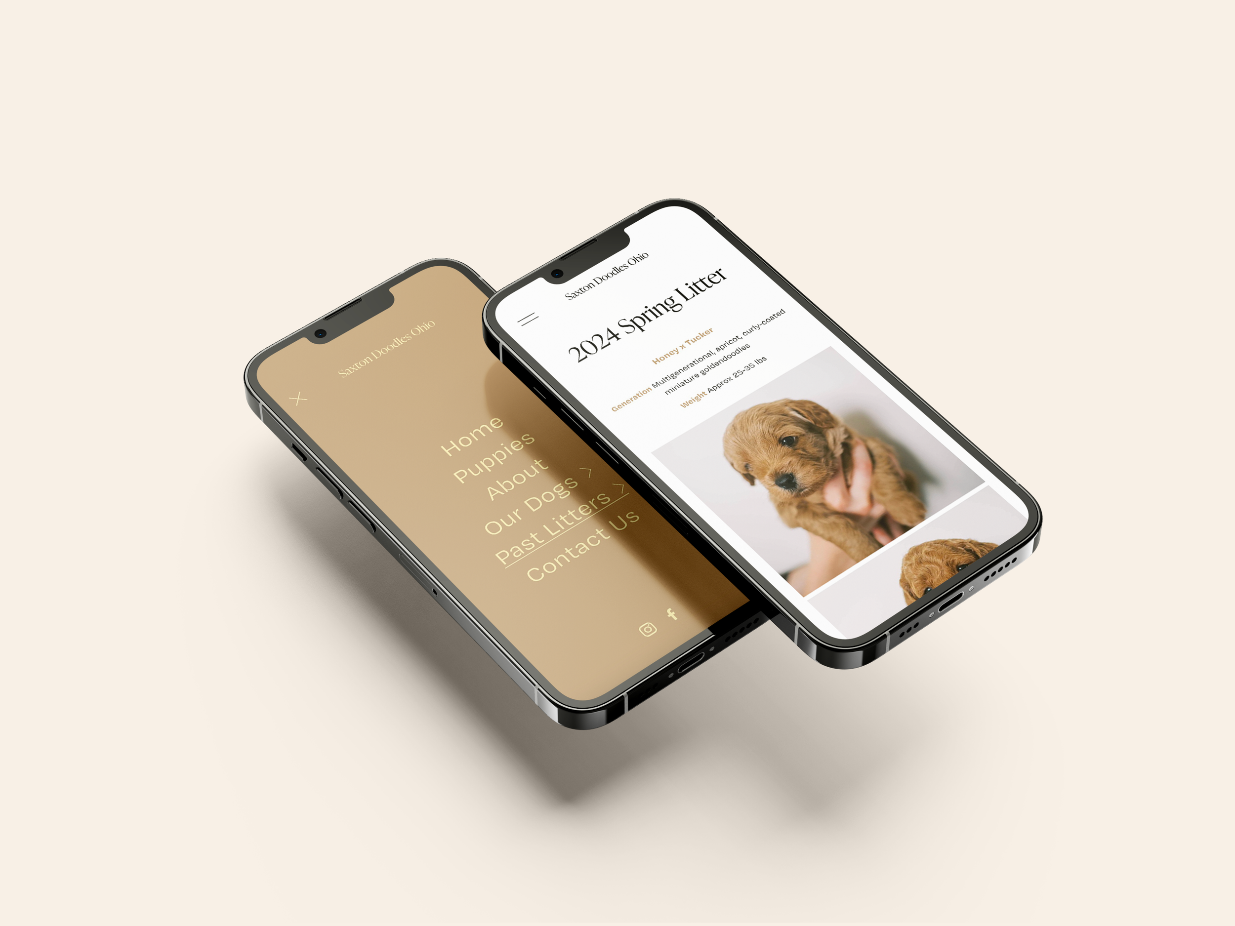 Warm, boho visual identity refresh for a small puppy breeding business website