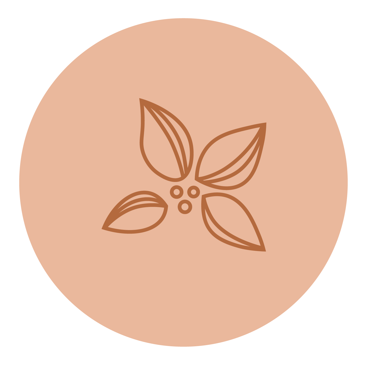 Hand-drawn botanical brand illustrations