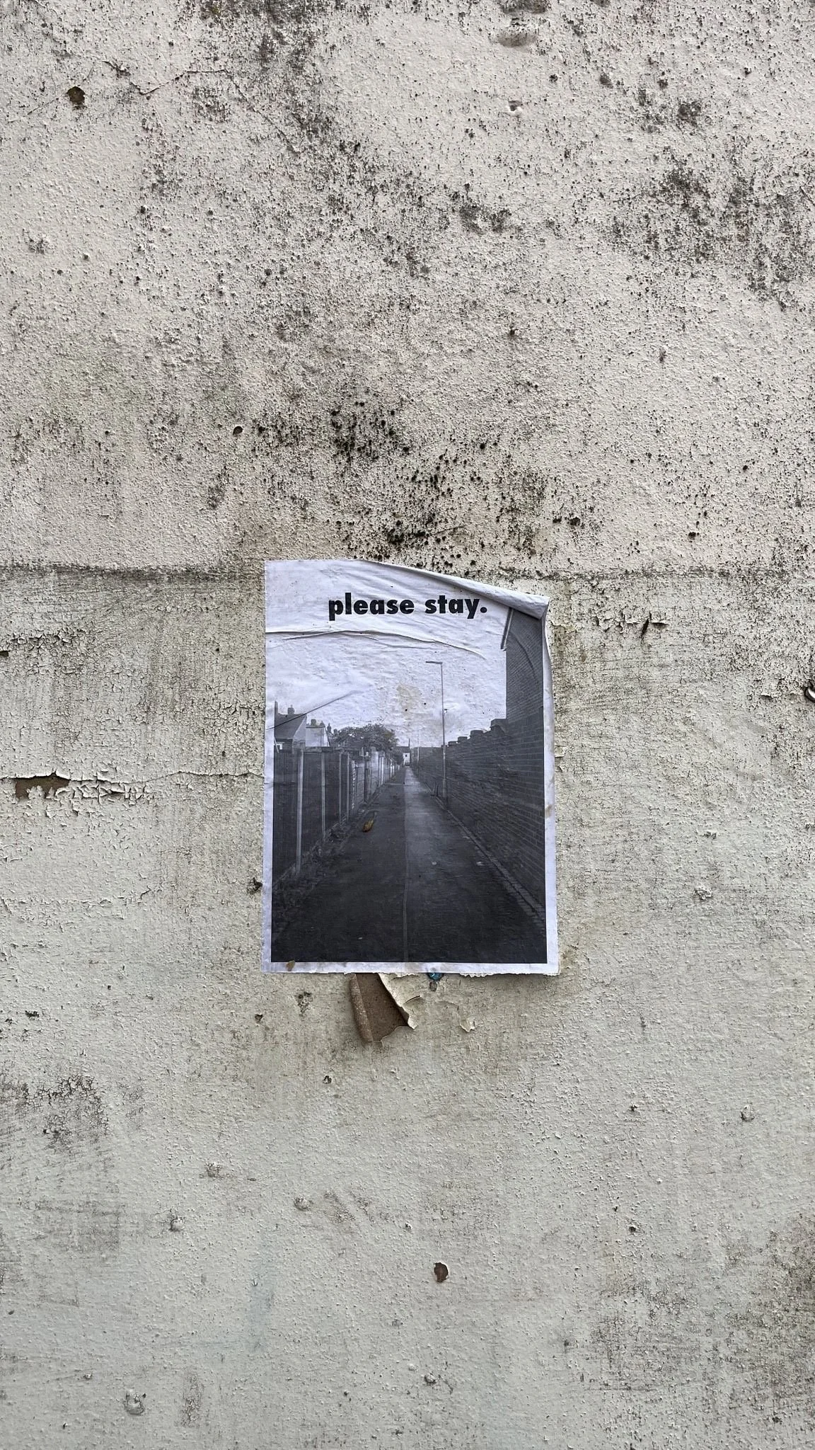 PLEASE STAY.
