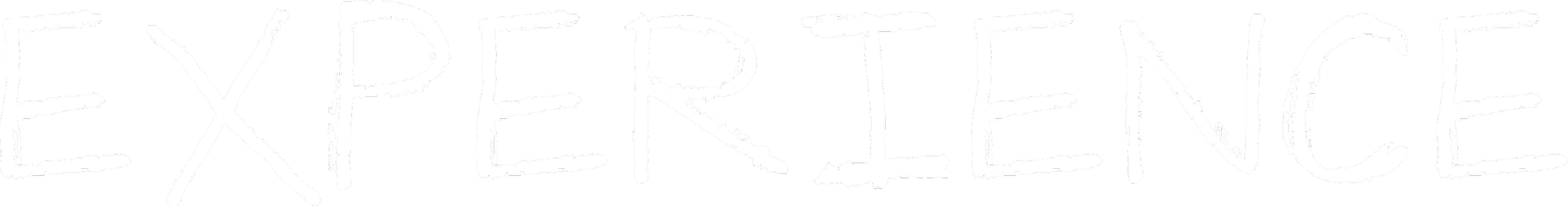 Word 'EXPERIENCE' in white chalk-like handwriting on a black background.