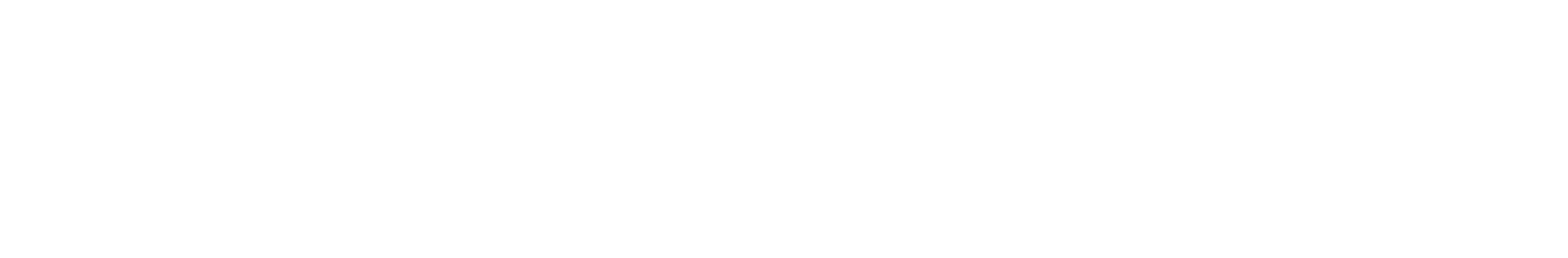 The word "BEHEMOTH" in white, rough-edged letters on a black background.