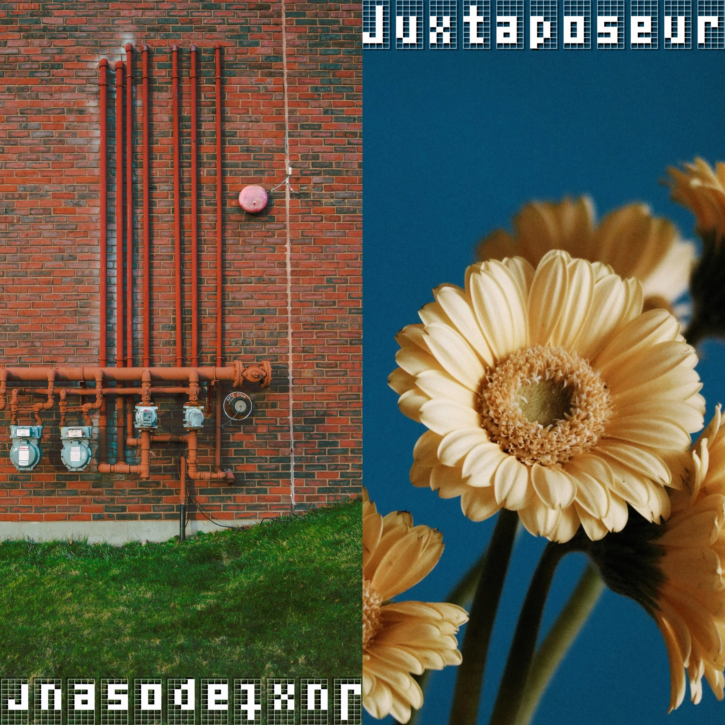 Juxtaposer