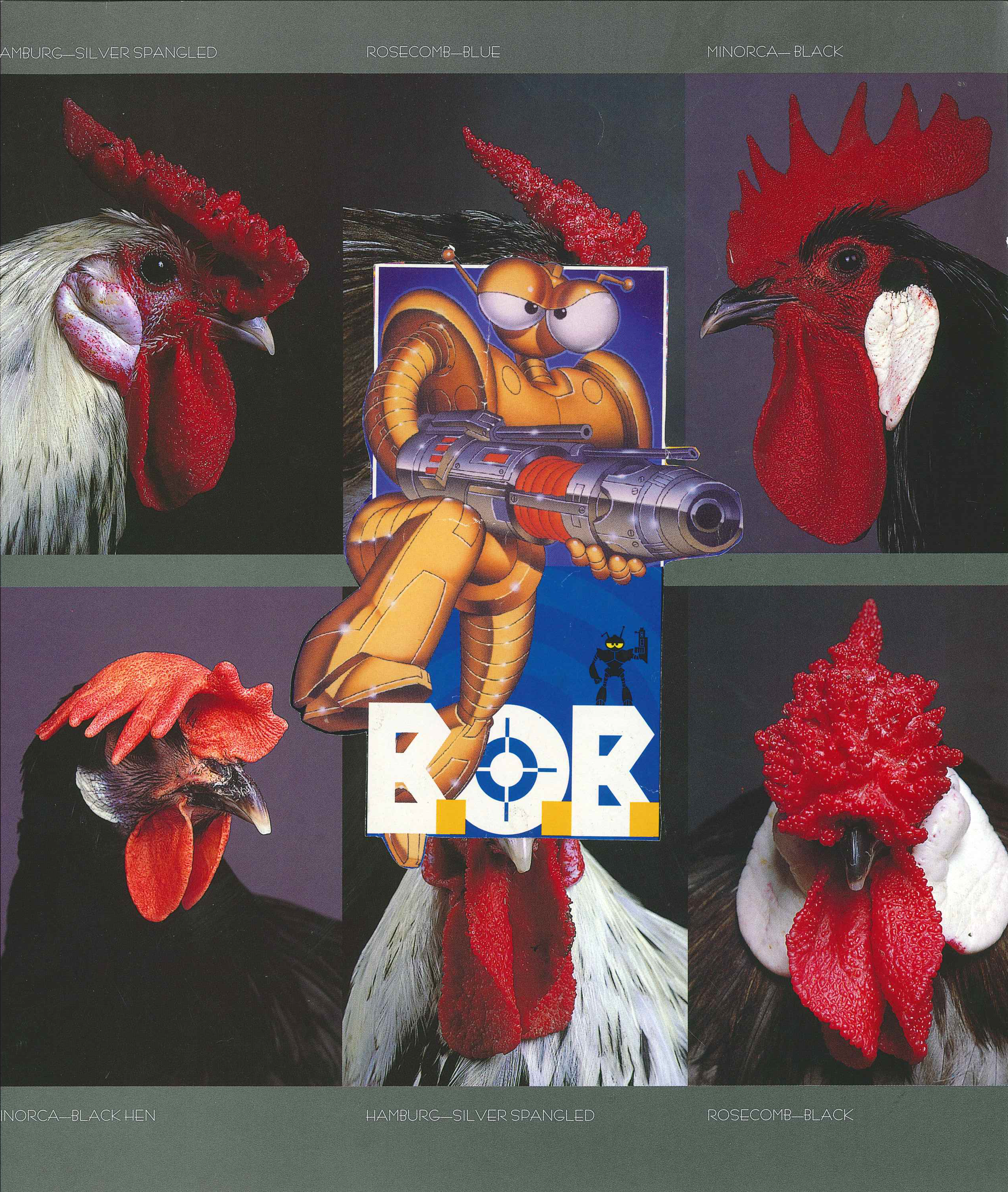Collage featuring various types of chickens and a cartoon robot character with a gun.