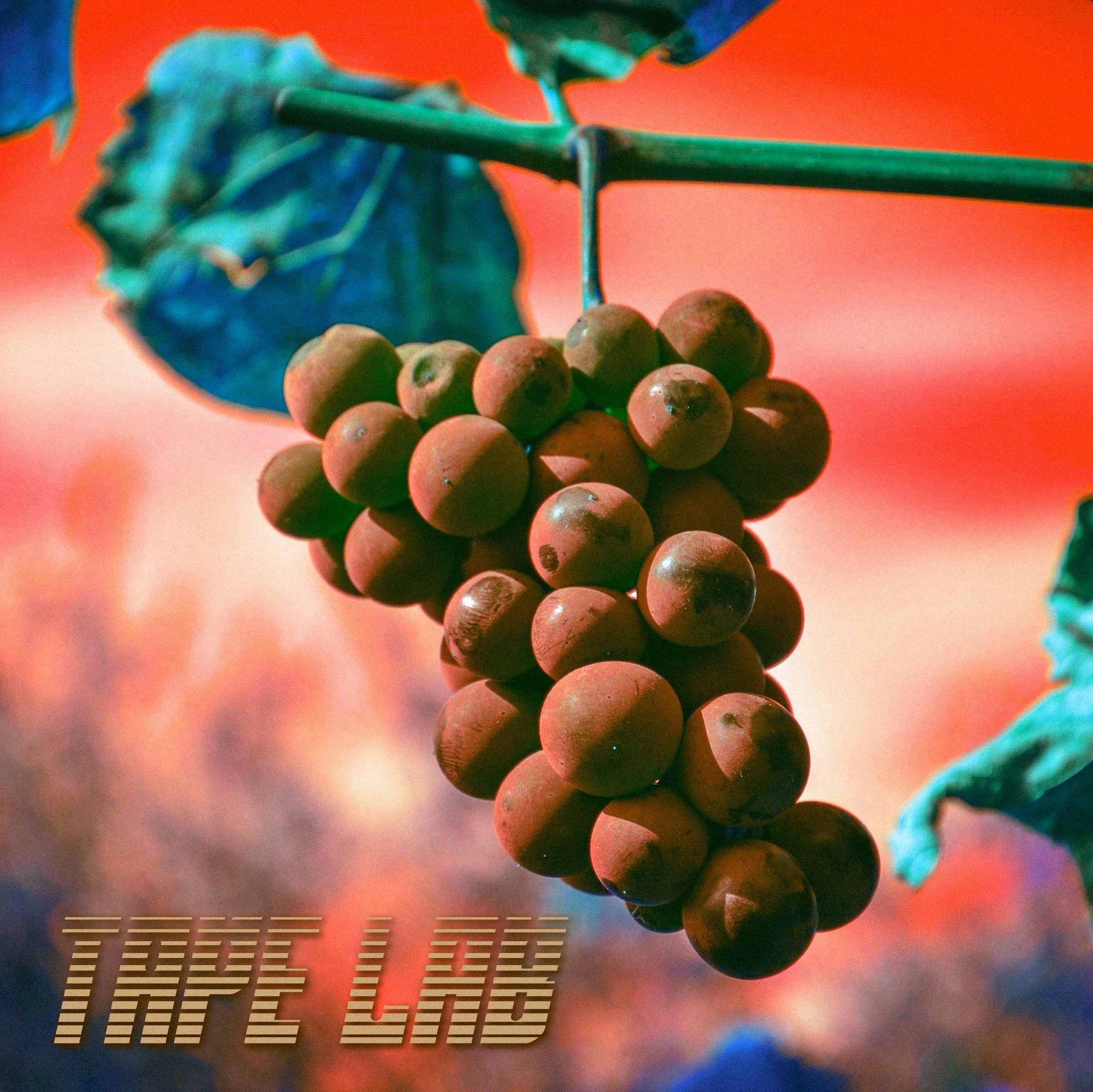 Reedit & Weep - Been Folded.PNG