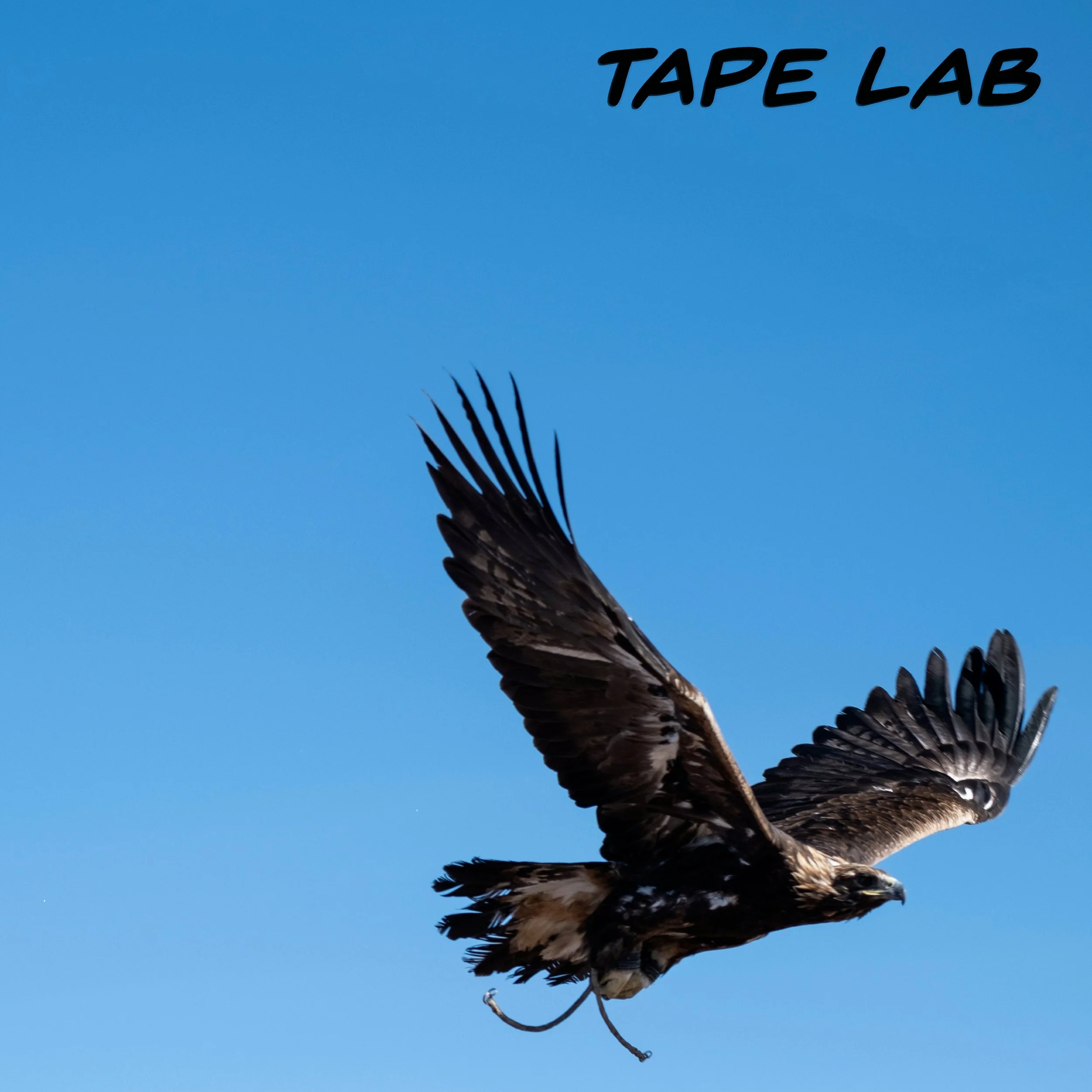 TWEAKART.96 (BEAT) - BONUS