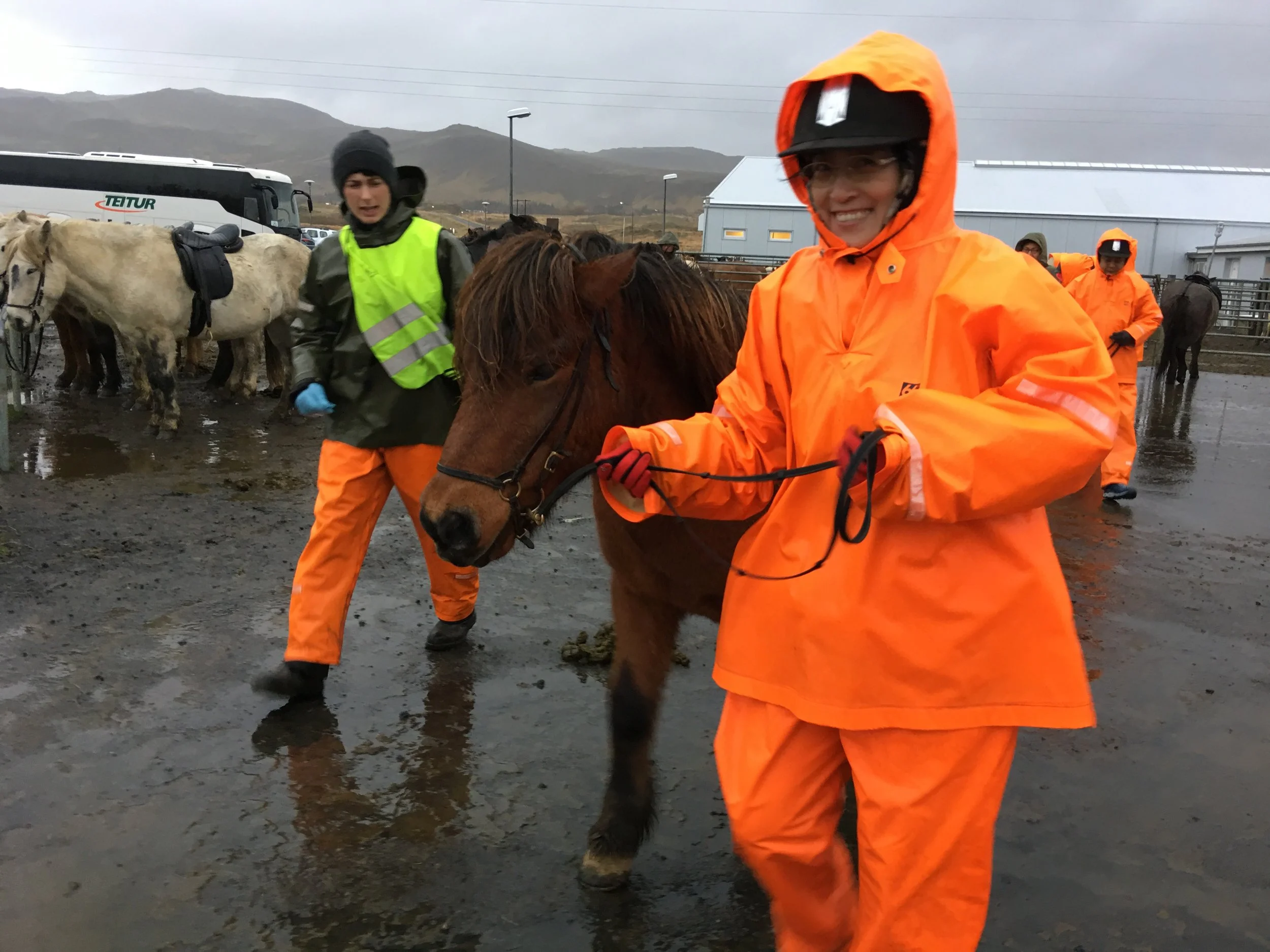 Horsebackriding 2.JPG