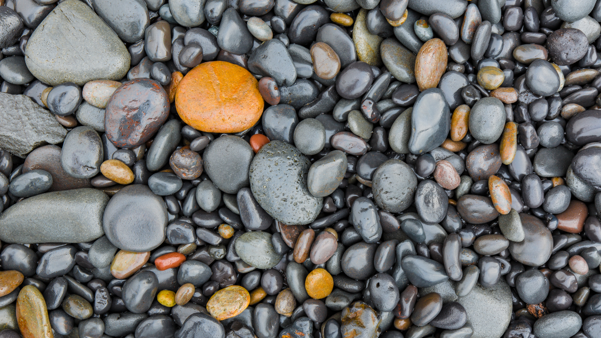 Djúpalónssandur black pebble beach on Snæfellsnes