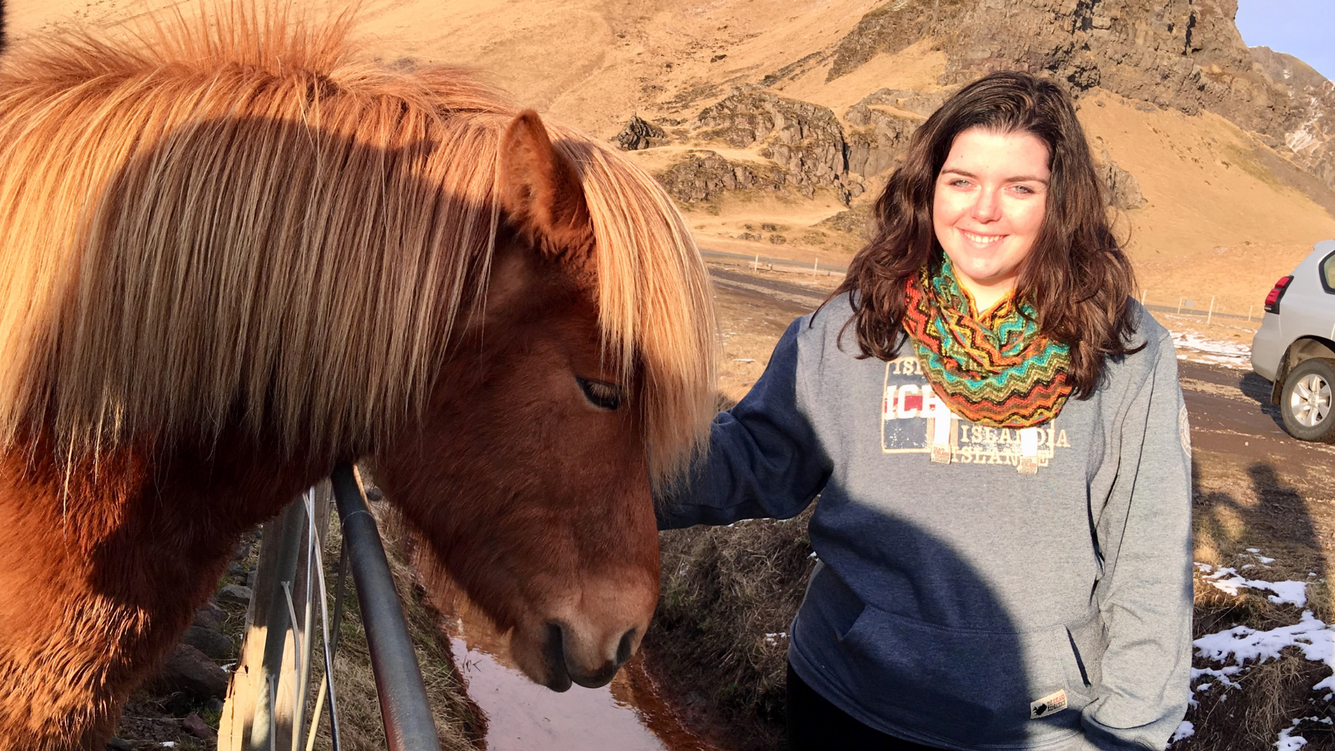 23 See horses from the road and stop.png