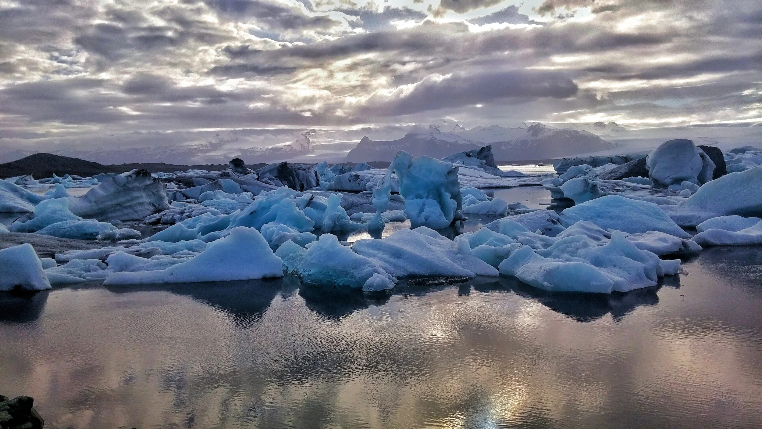 20150610_184329-01.jpeg