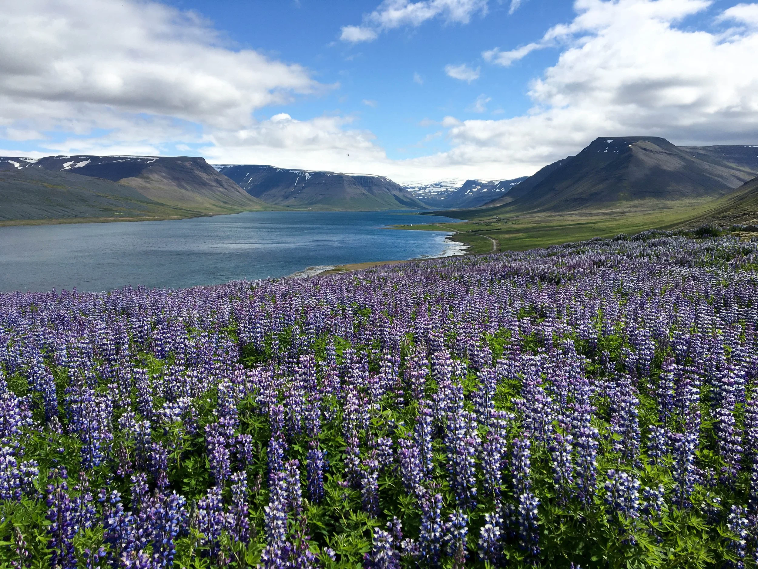 Ring Road Iceland.jpg