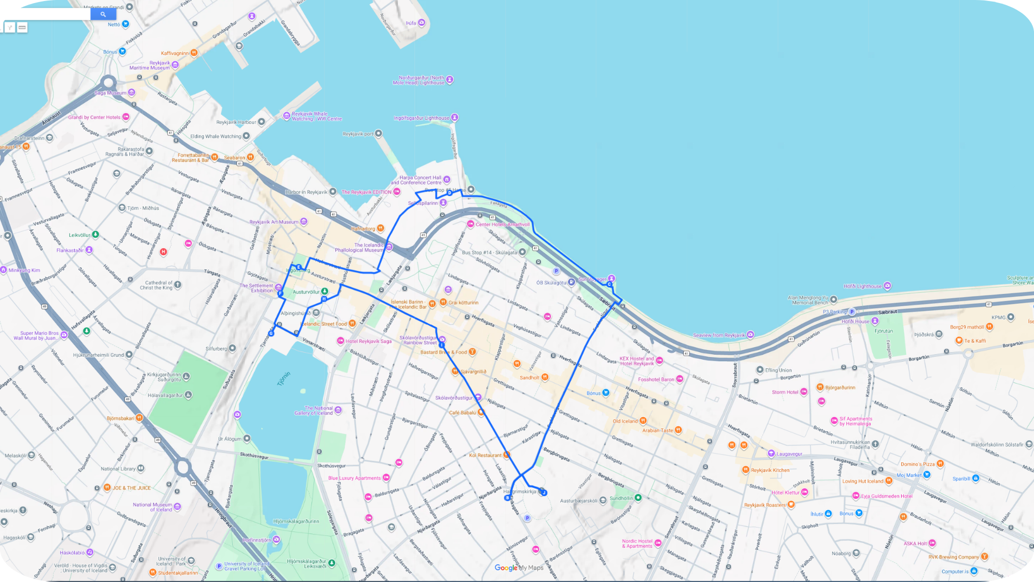 Downtown Reykjavik City Walking Tour 2 hrs blue background.png
