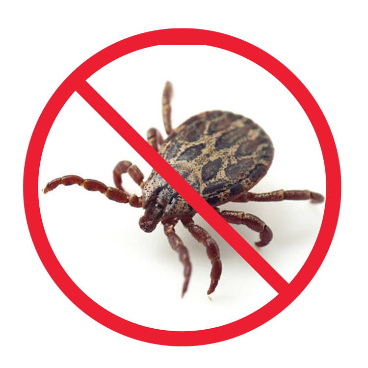 No-Ticks.png