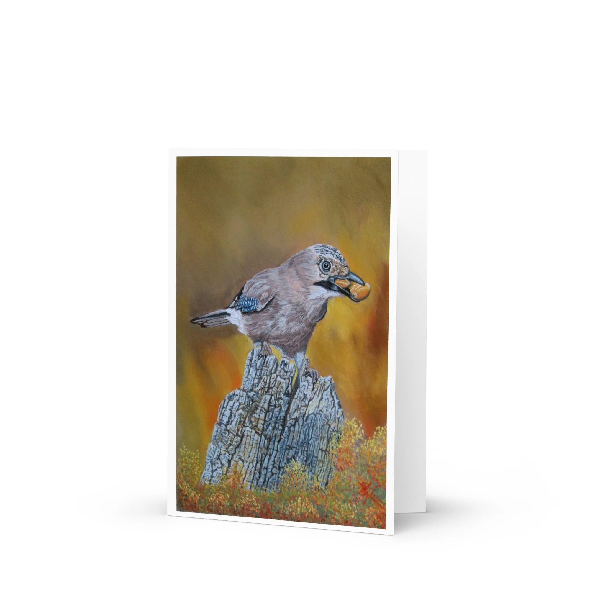 Eurasian Jay card