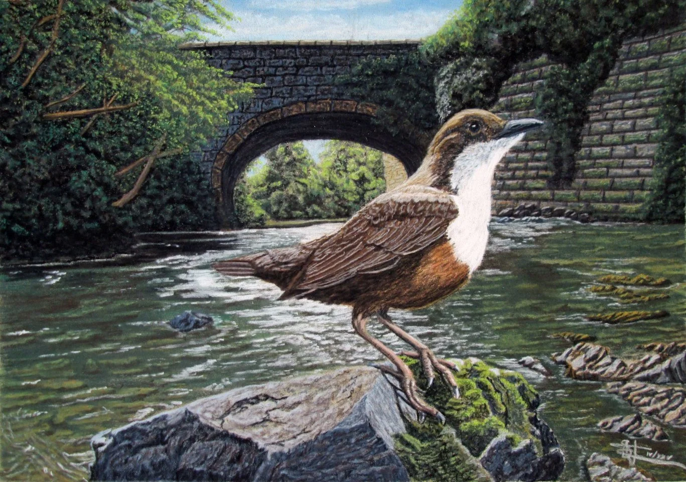 A detailed painting of a dipper standing on a moss-covered rock in a stream, with an arched brick bridge and lush green trees in the background.