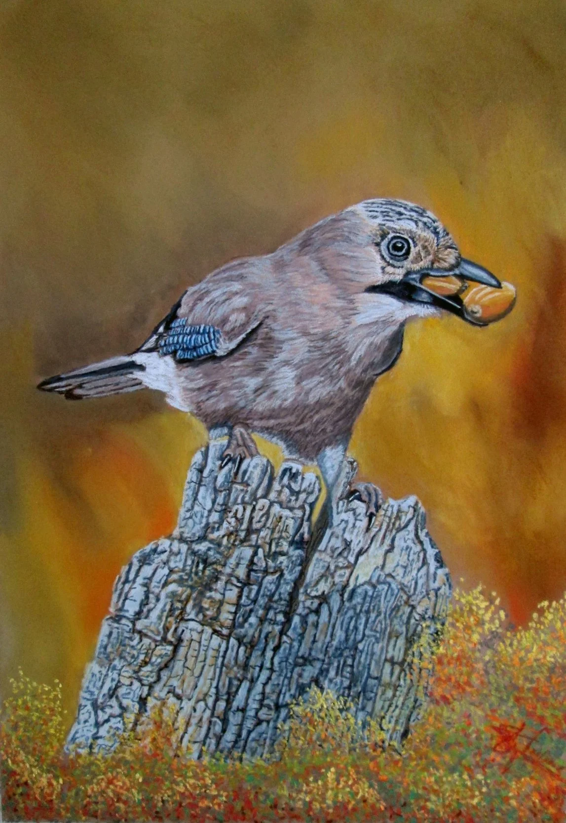 A jay perched on a weathered tree stump, holding a peanut in its beak, with a blurred autumn-coloured background.