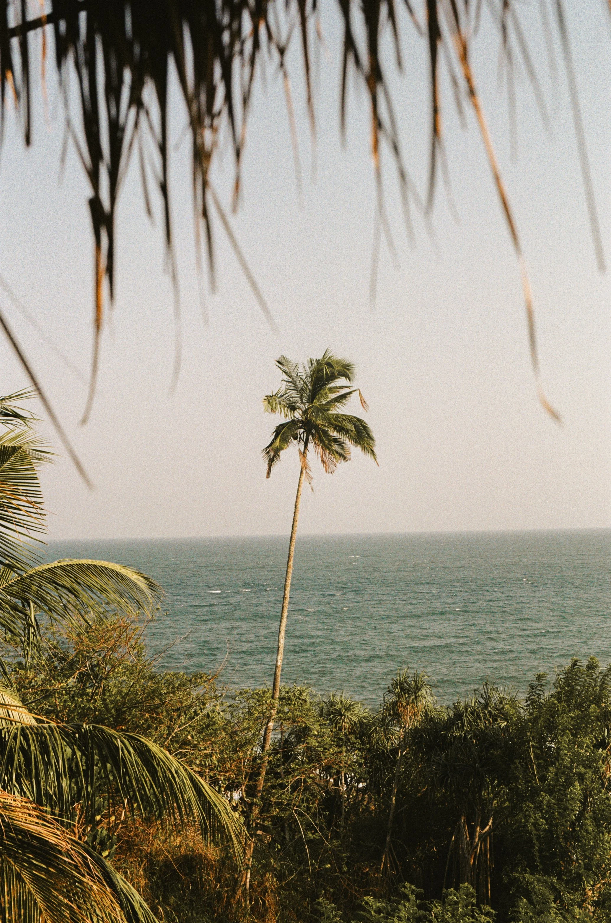 IMG_5635.jpg