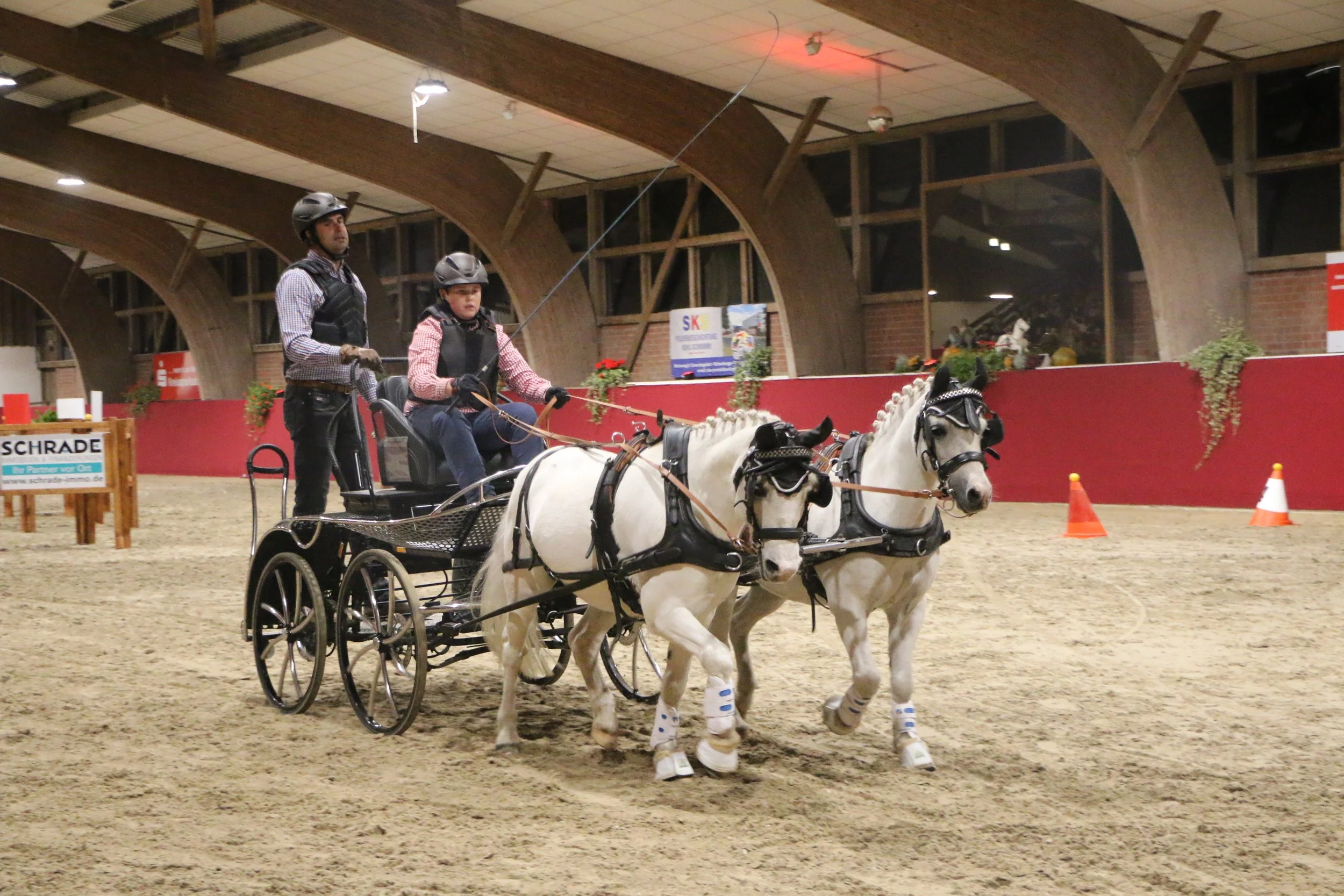 Familienschauprogramm