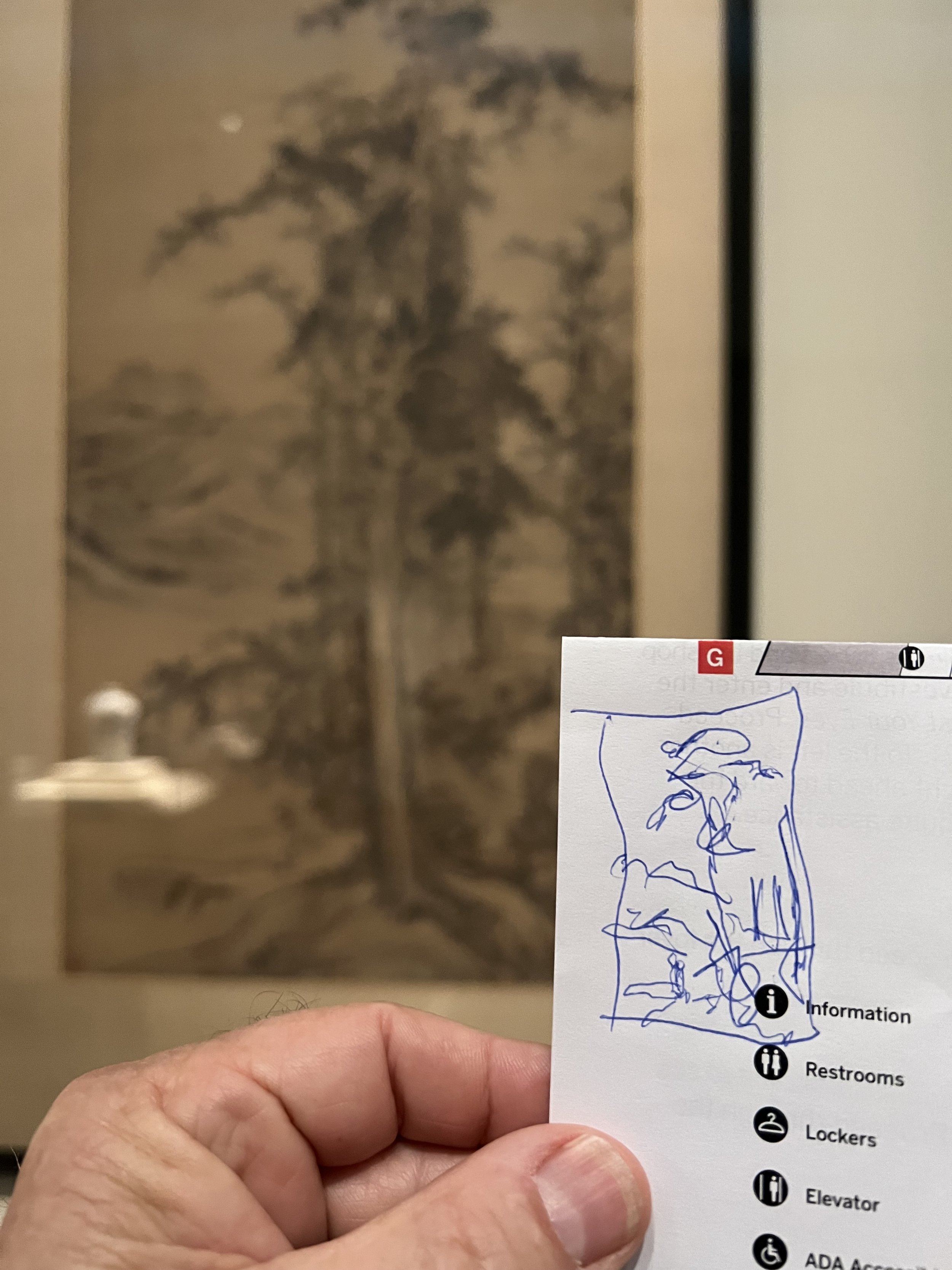 Drawing at the Freer Gallery Washington DC