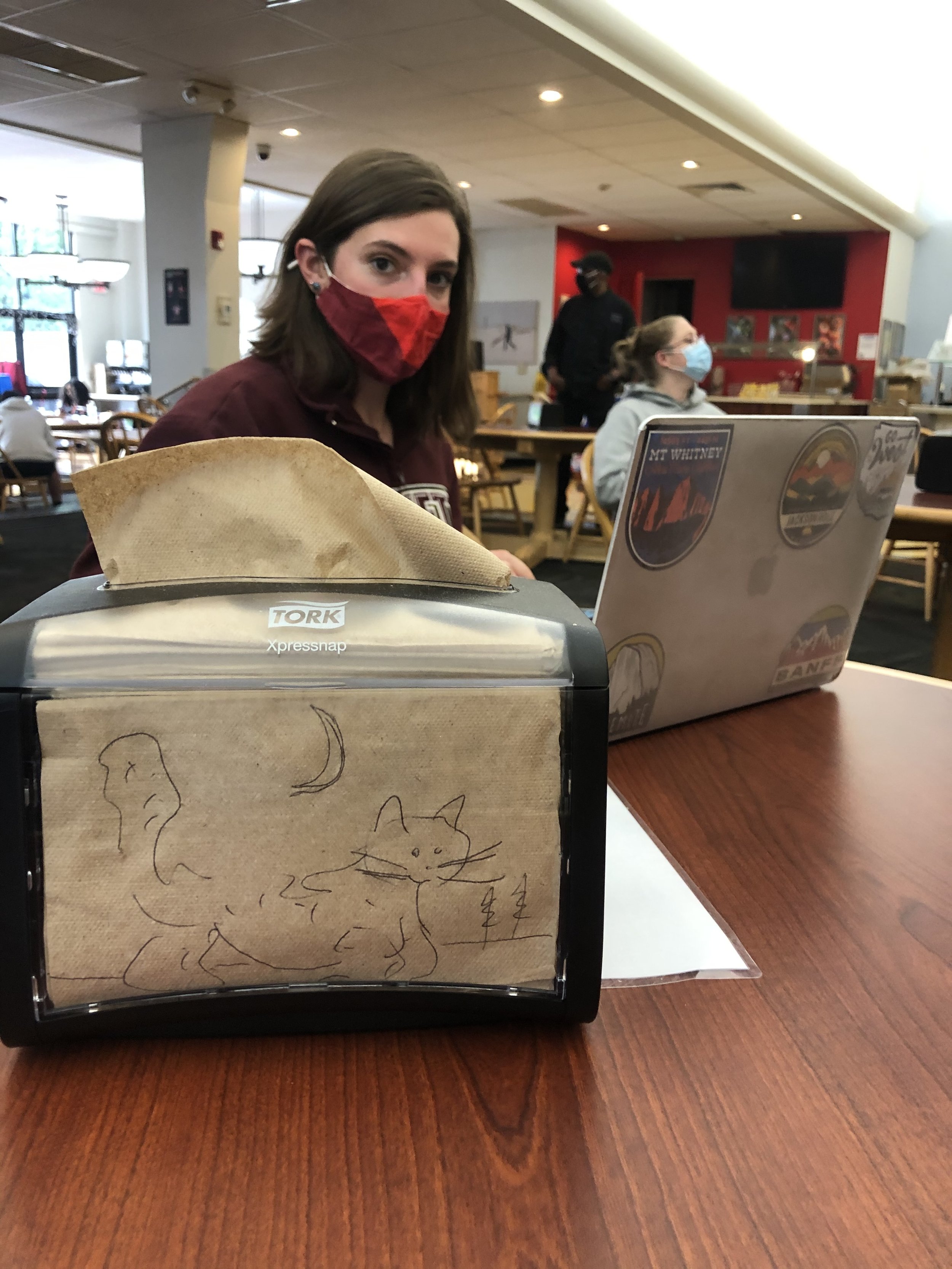 Cat and Moon Drawing on Napkin Dispenser
(do your own)