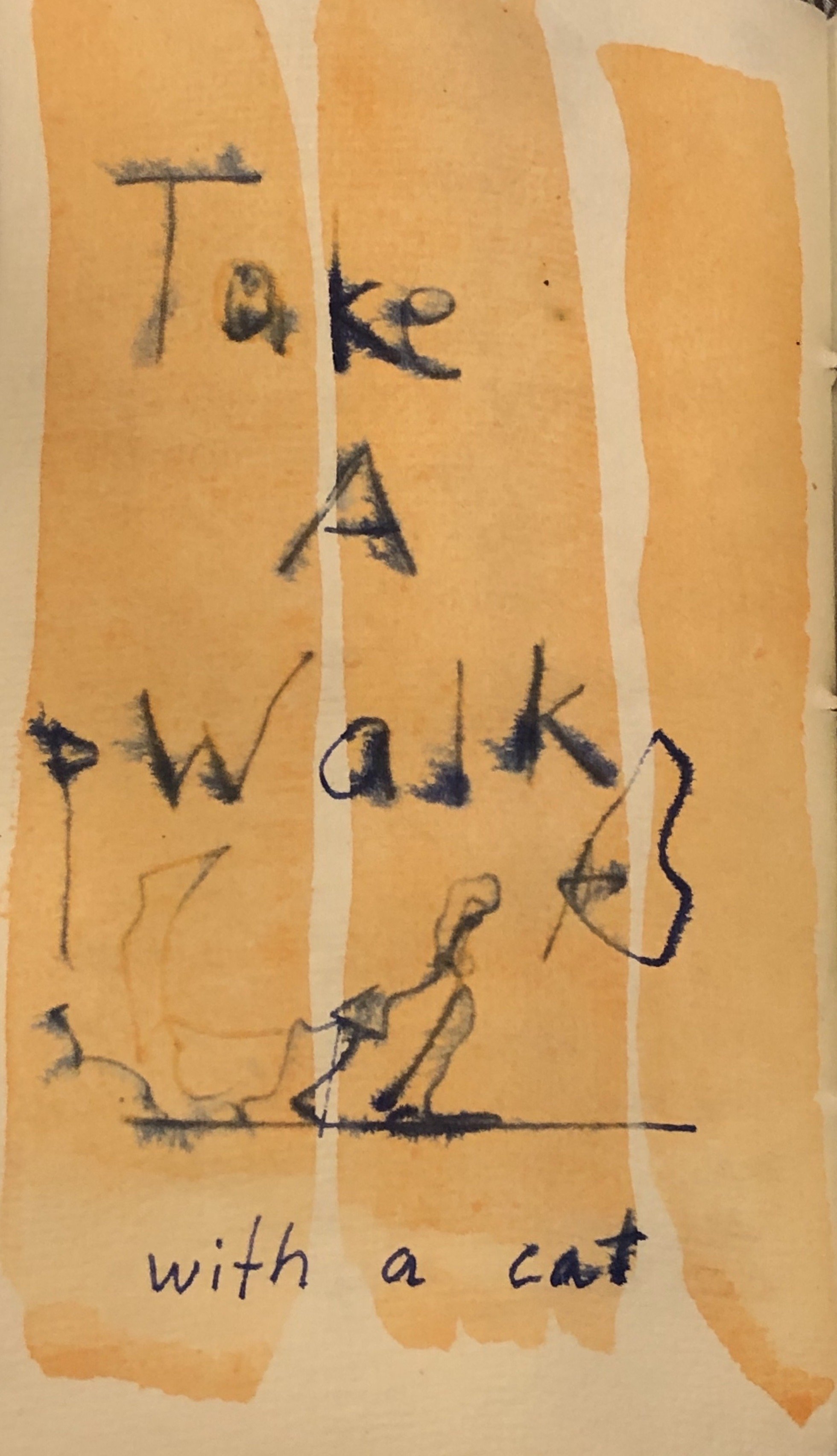Advice #44  |   Take a Walk With a Cat |