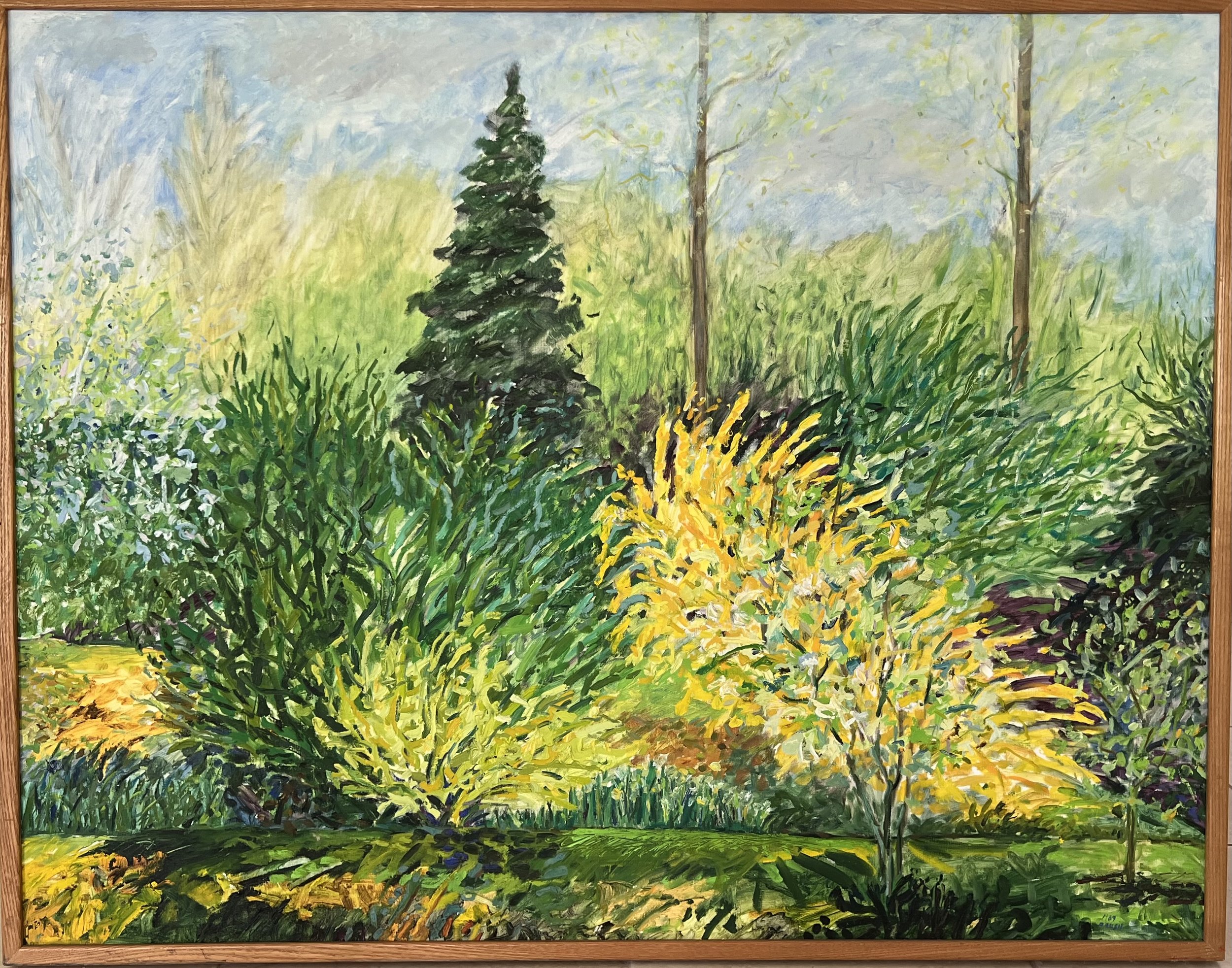 Forcythia    |    37 x 47 1/2    |  1989   |     oil on canvas   |      2000