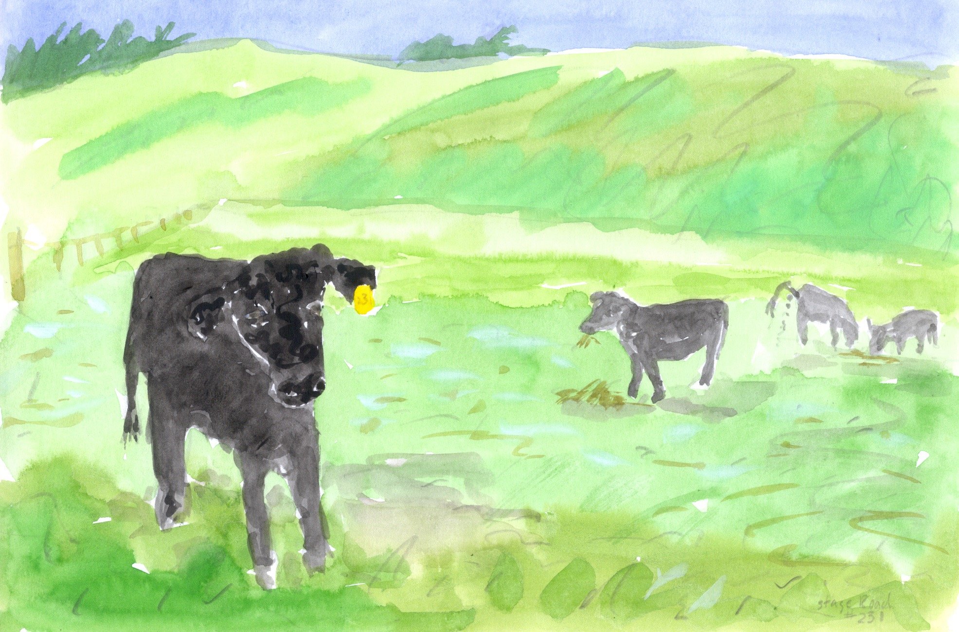 1991 Stage Road Cow Ca.jpeg