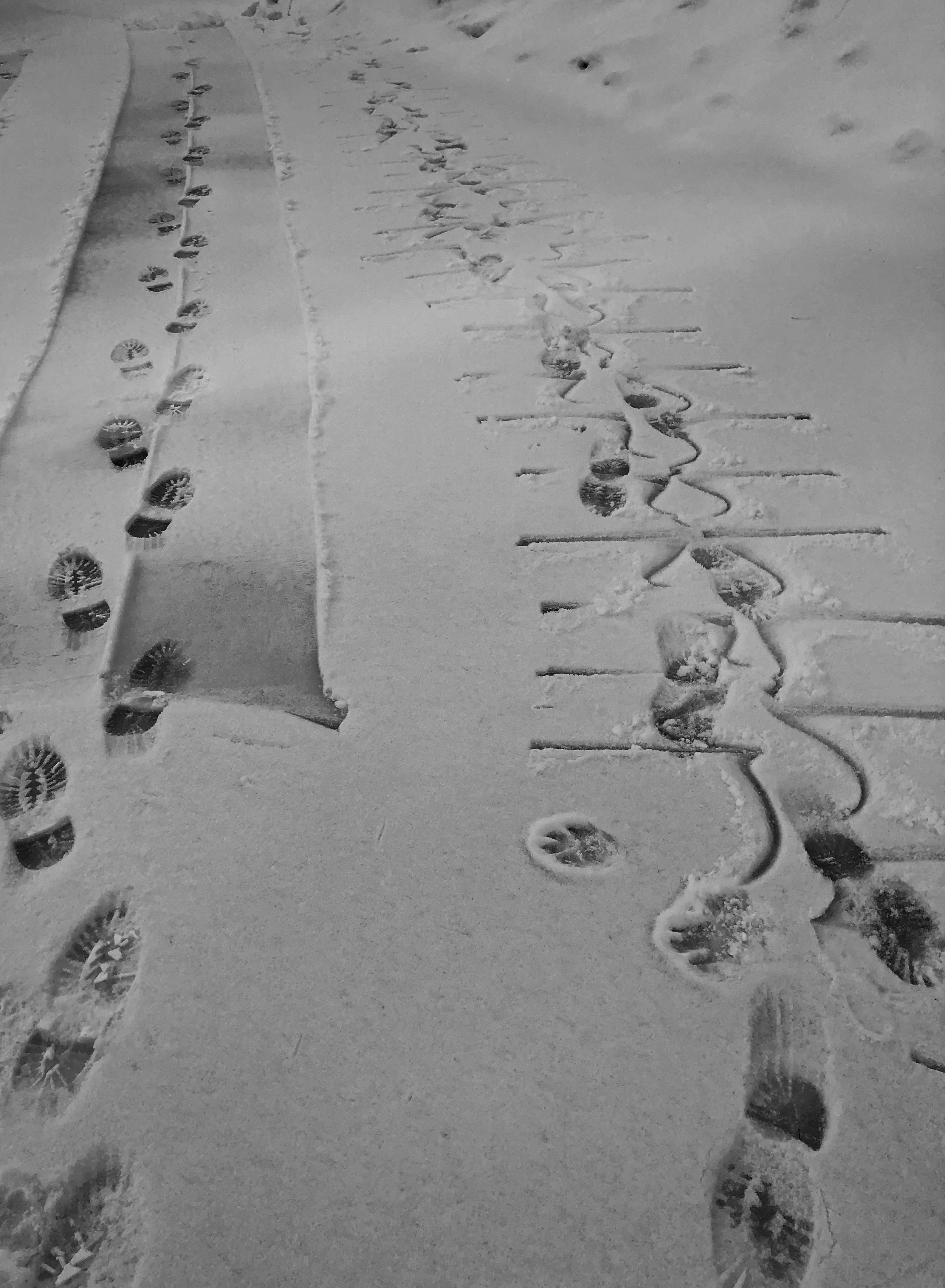 Snow 3