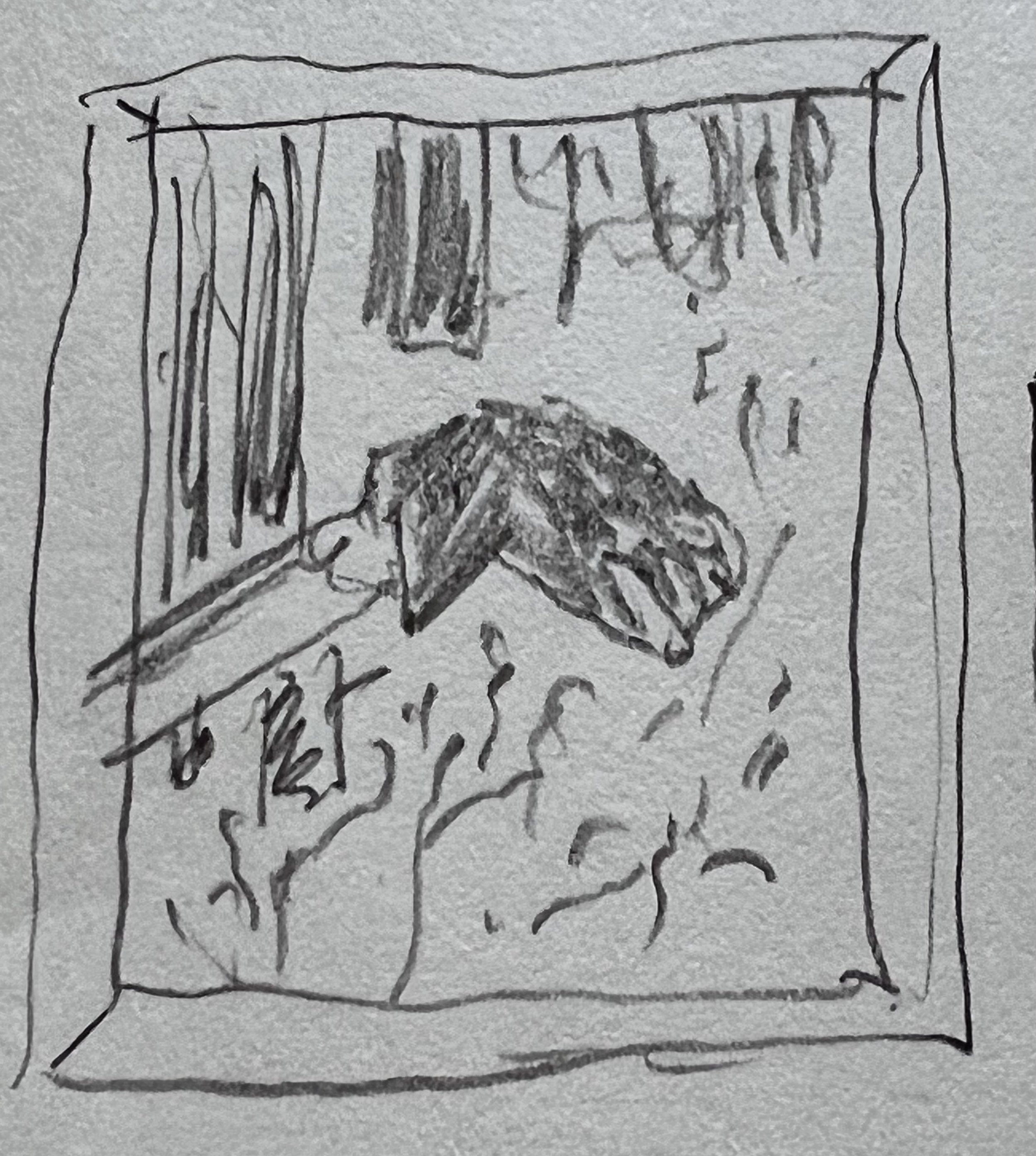IMG_2101.jpeg