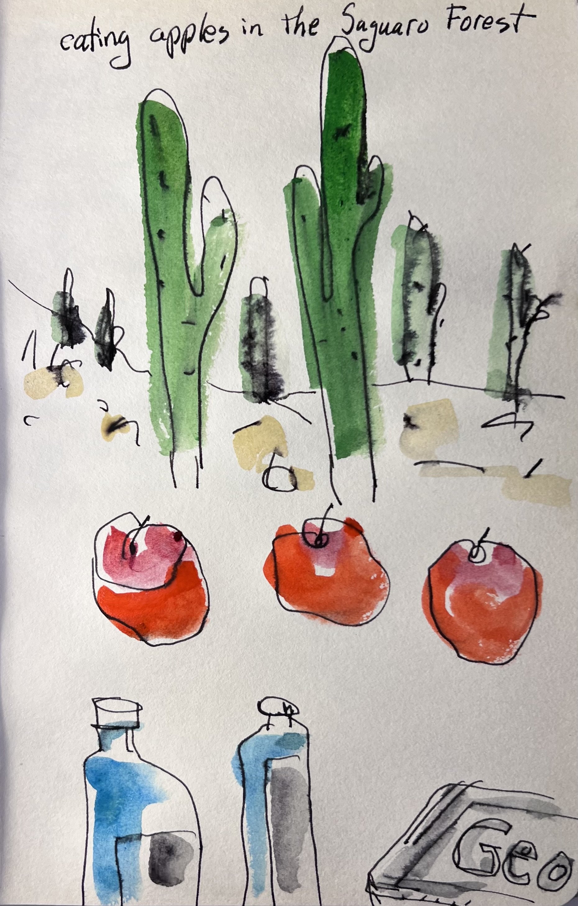 Eating Apples in the Saguaro Forest-(student trip)    |    8 x 5    |   pen and watercolor on paper   |     100