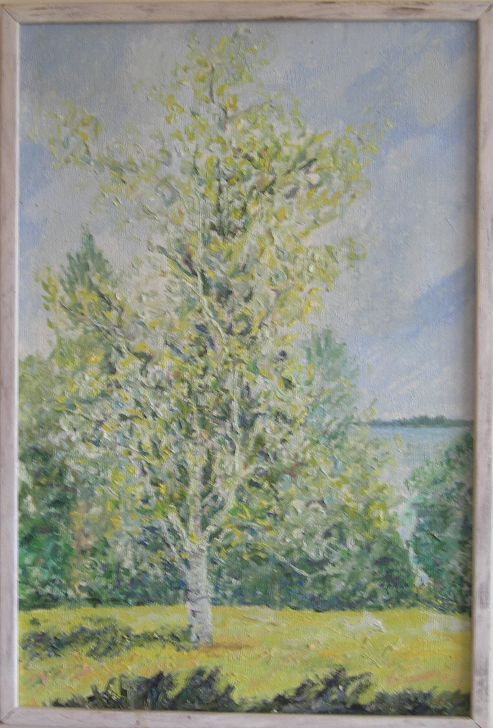 Birch Maine   |    198?    |    25 x 17      |   oil on masonite     |    (sold)