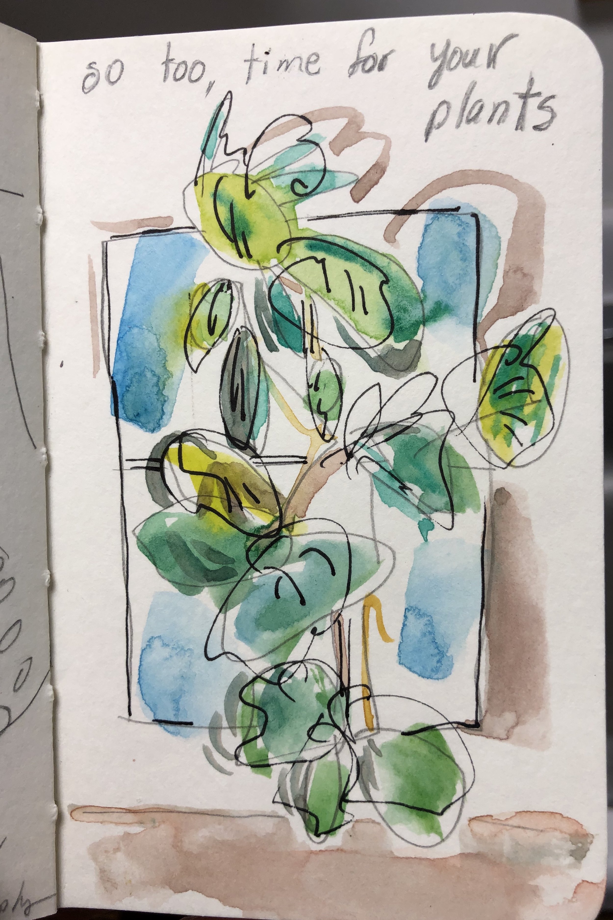IMG_0766 (1).jpeg