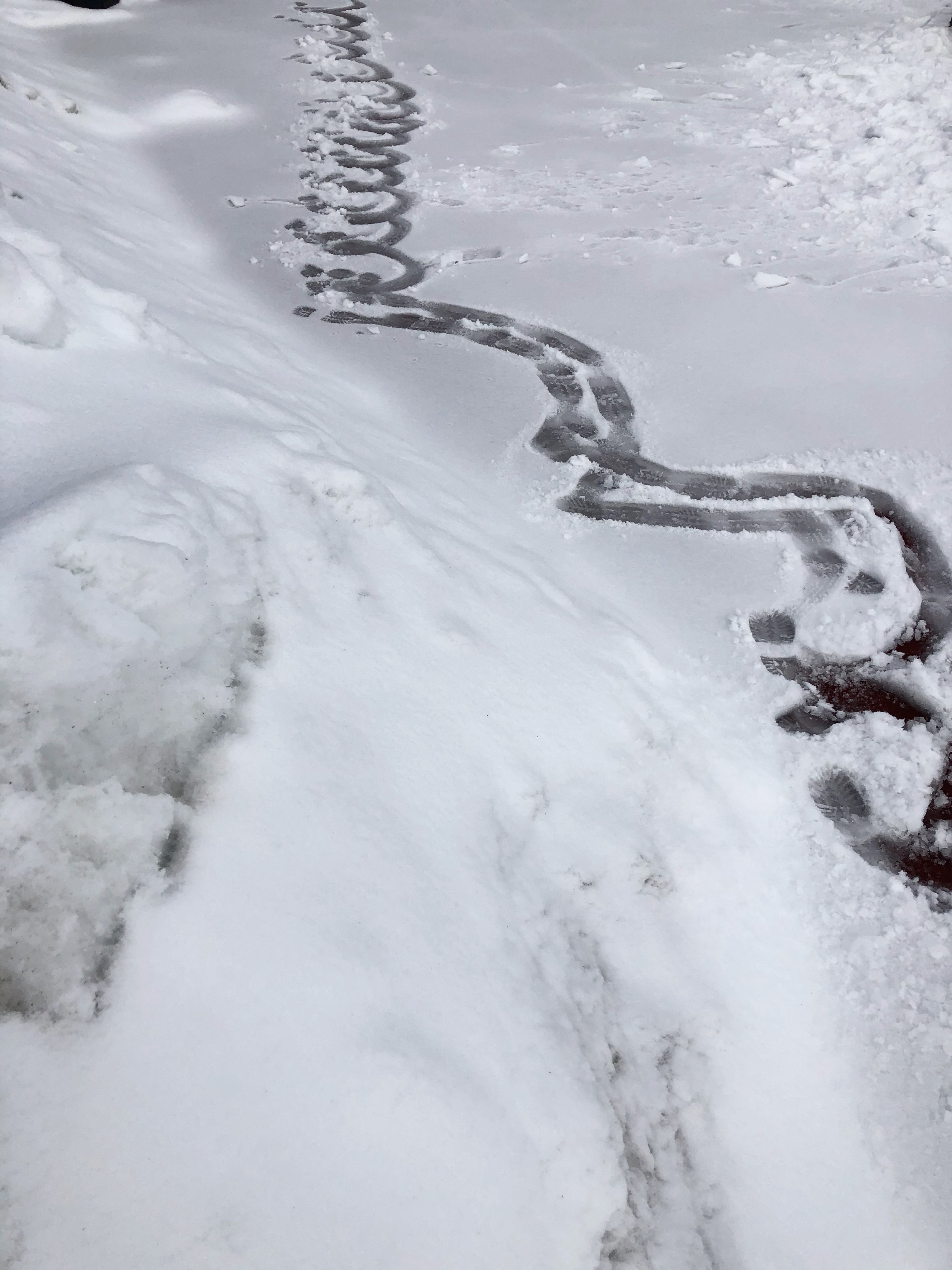Snow 6