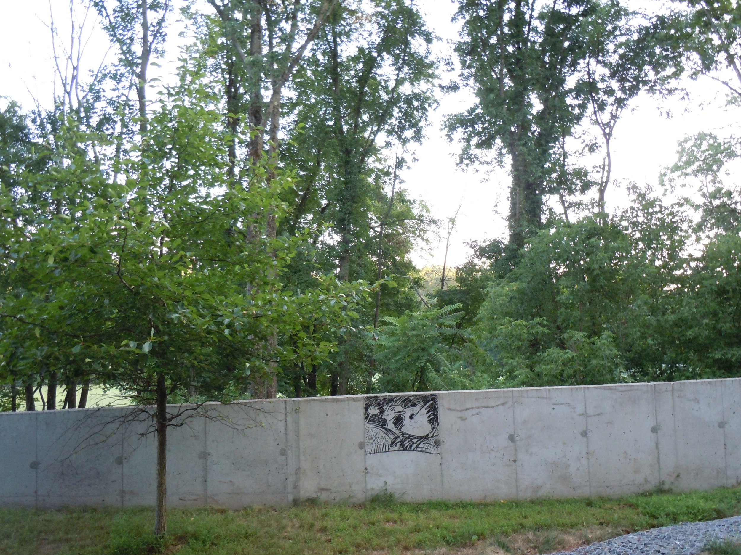 DSCN1228.JPG