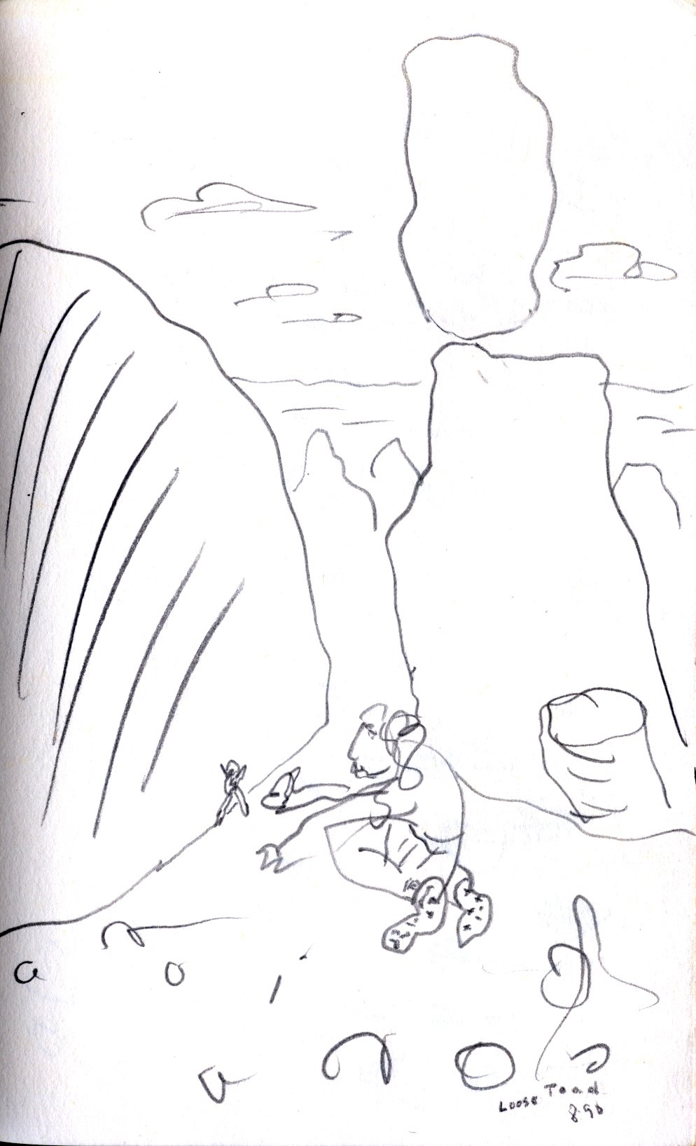scape 1990 loose toad.jpeg