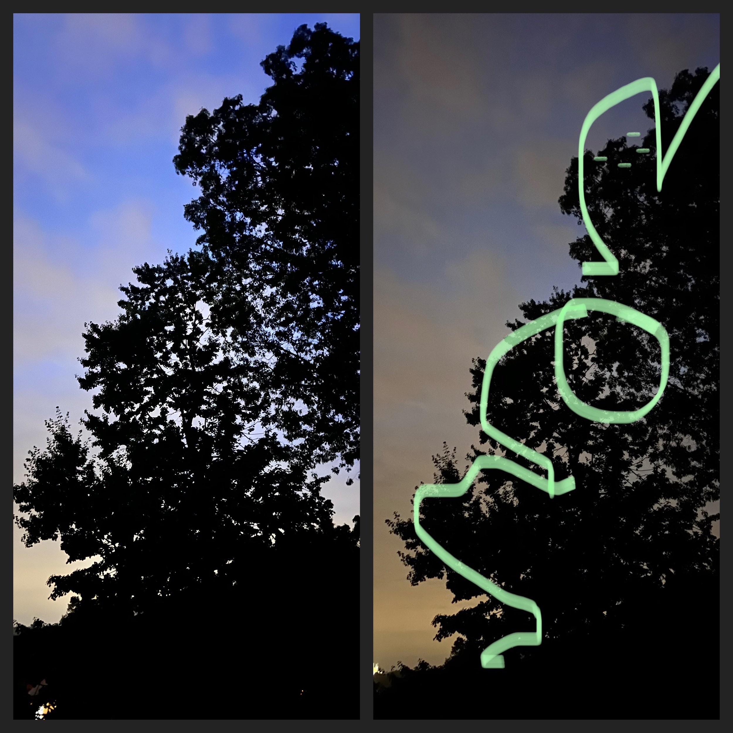 Tree See Drawing    |    iPhone      