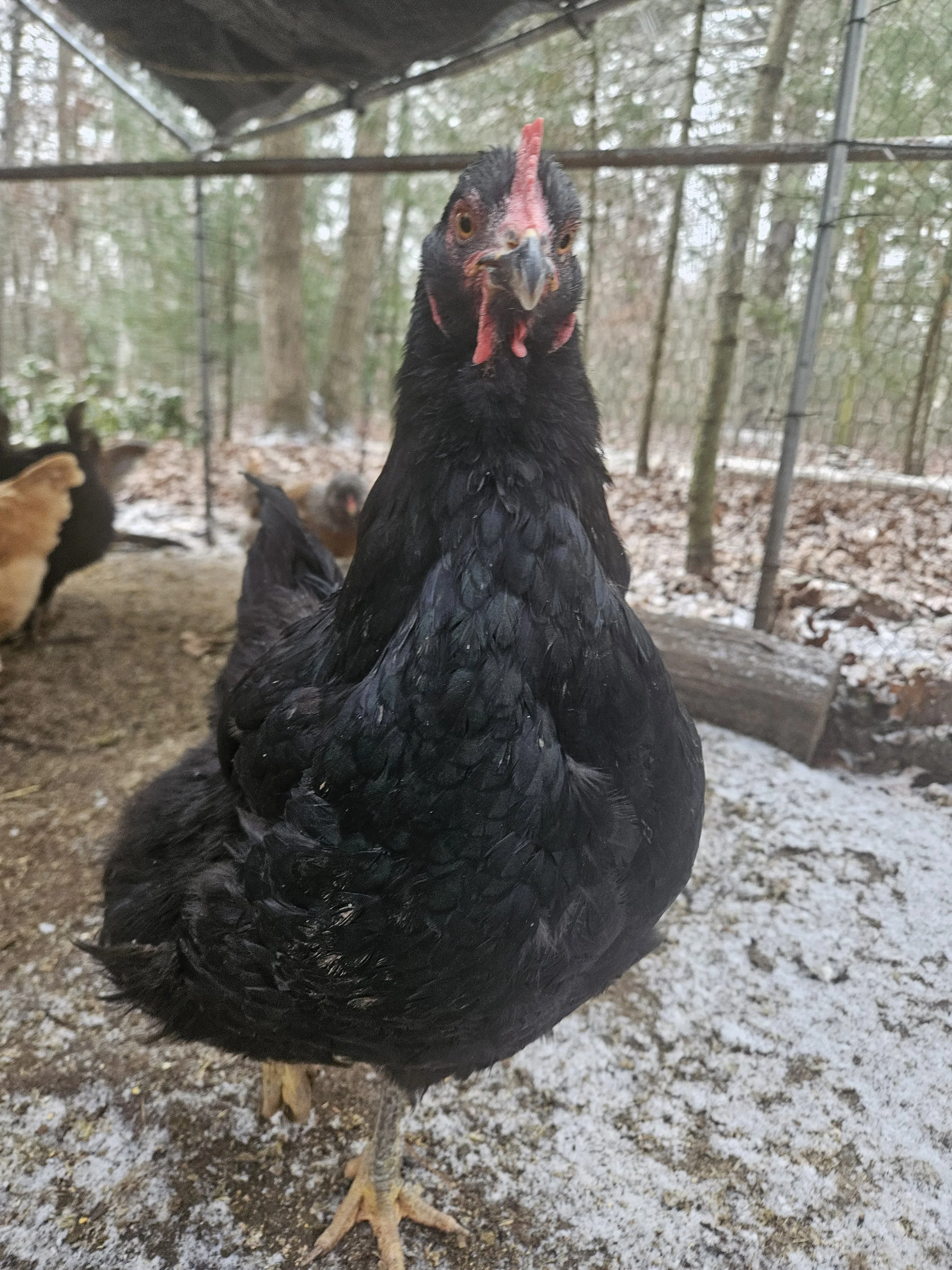 20250111_103148 (1).jpg