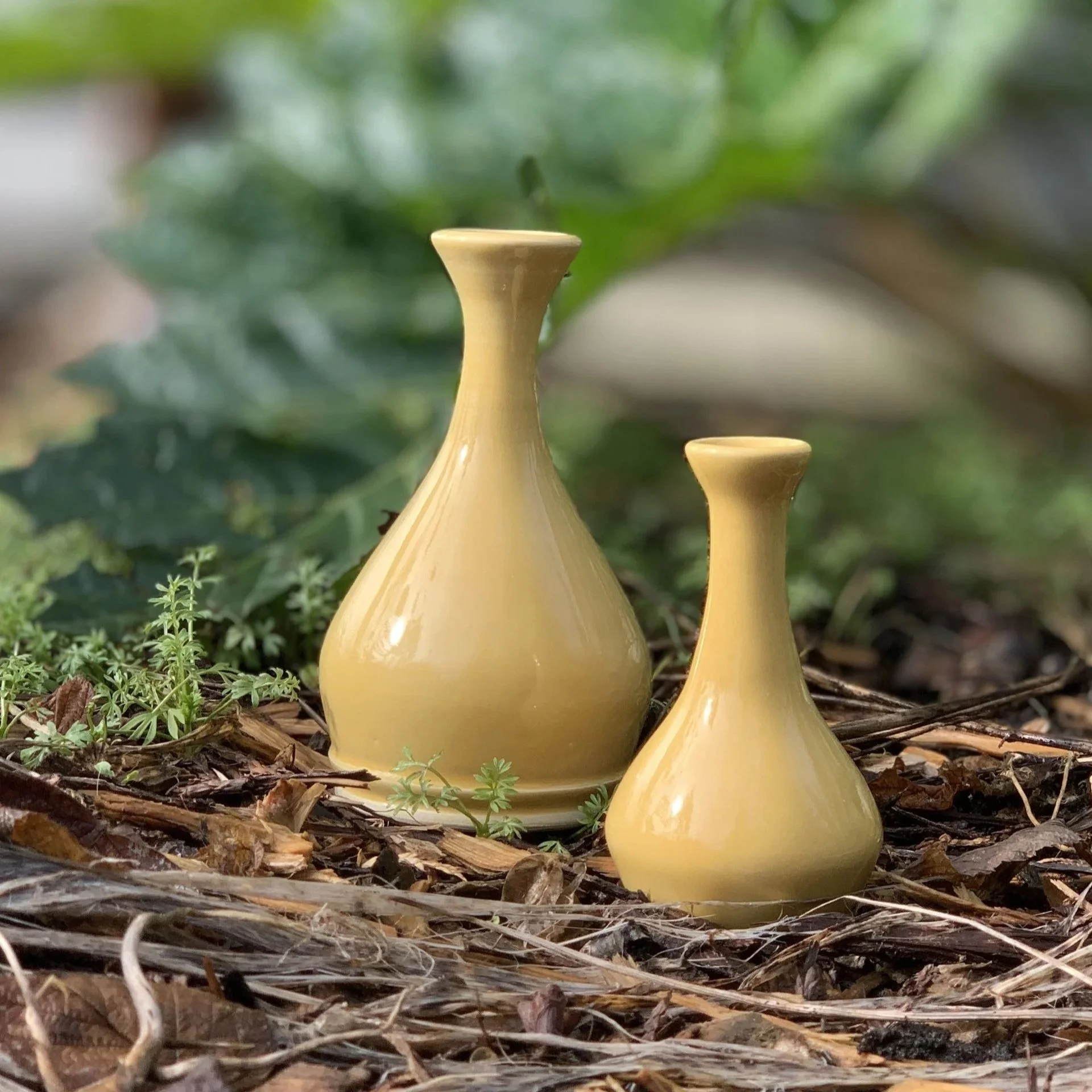 Bud Vases - set of 2