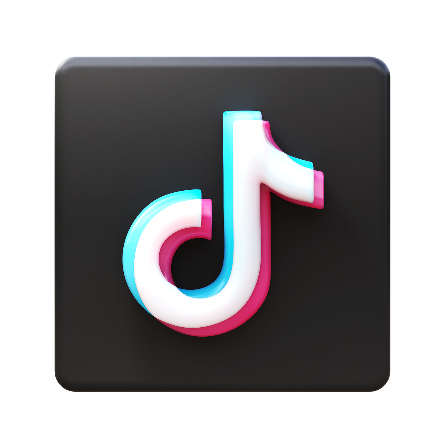 Blog #18 Making a TikTok