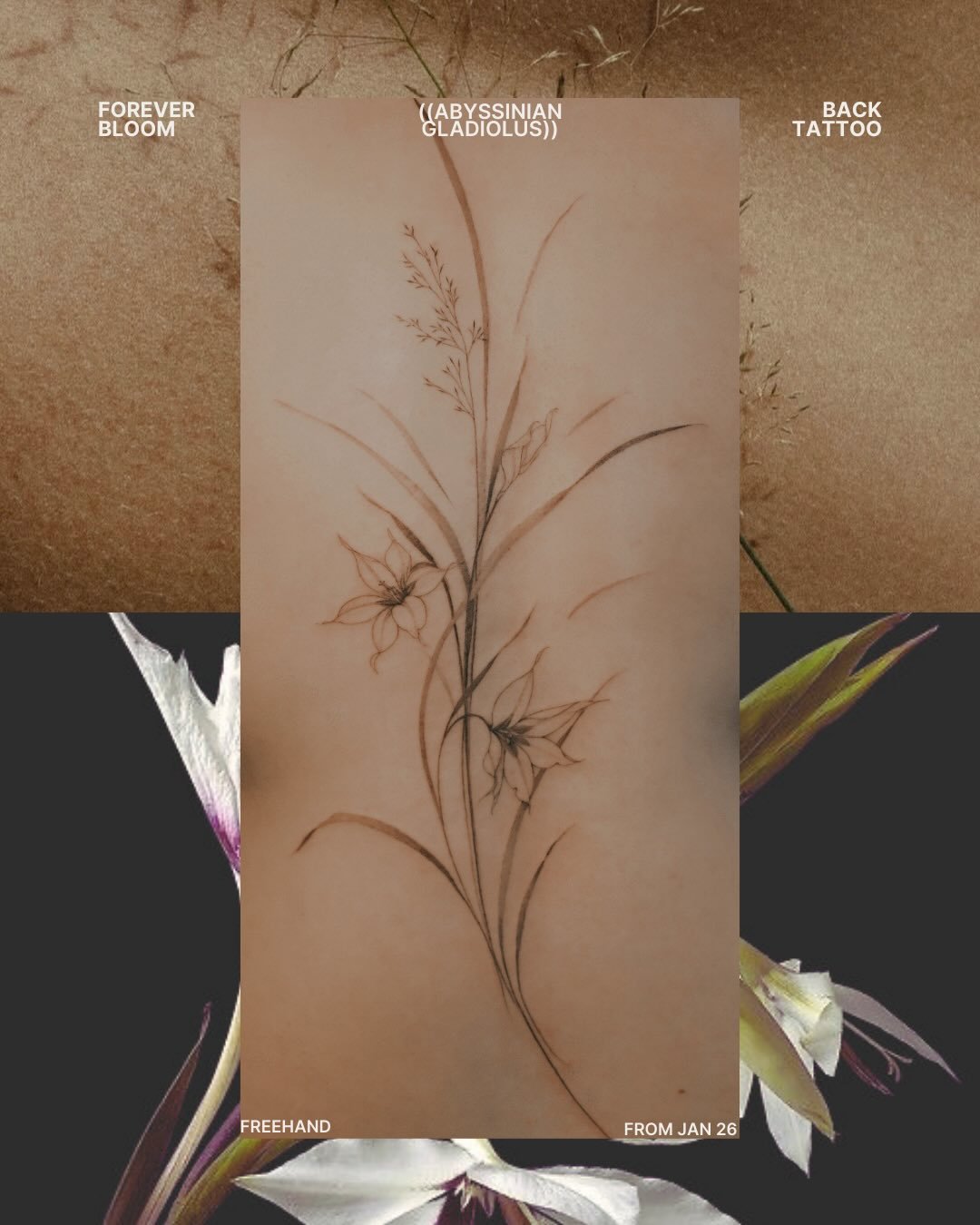 Minimalistic floral back tattoo as her first tattoo. 🌹

#londontattooartist #floraltattoo #tattoosforwomen #delicatetattoo #tattooideasforwomen