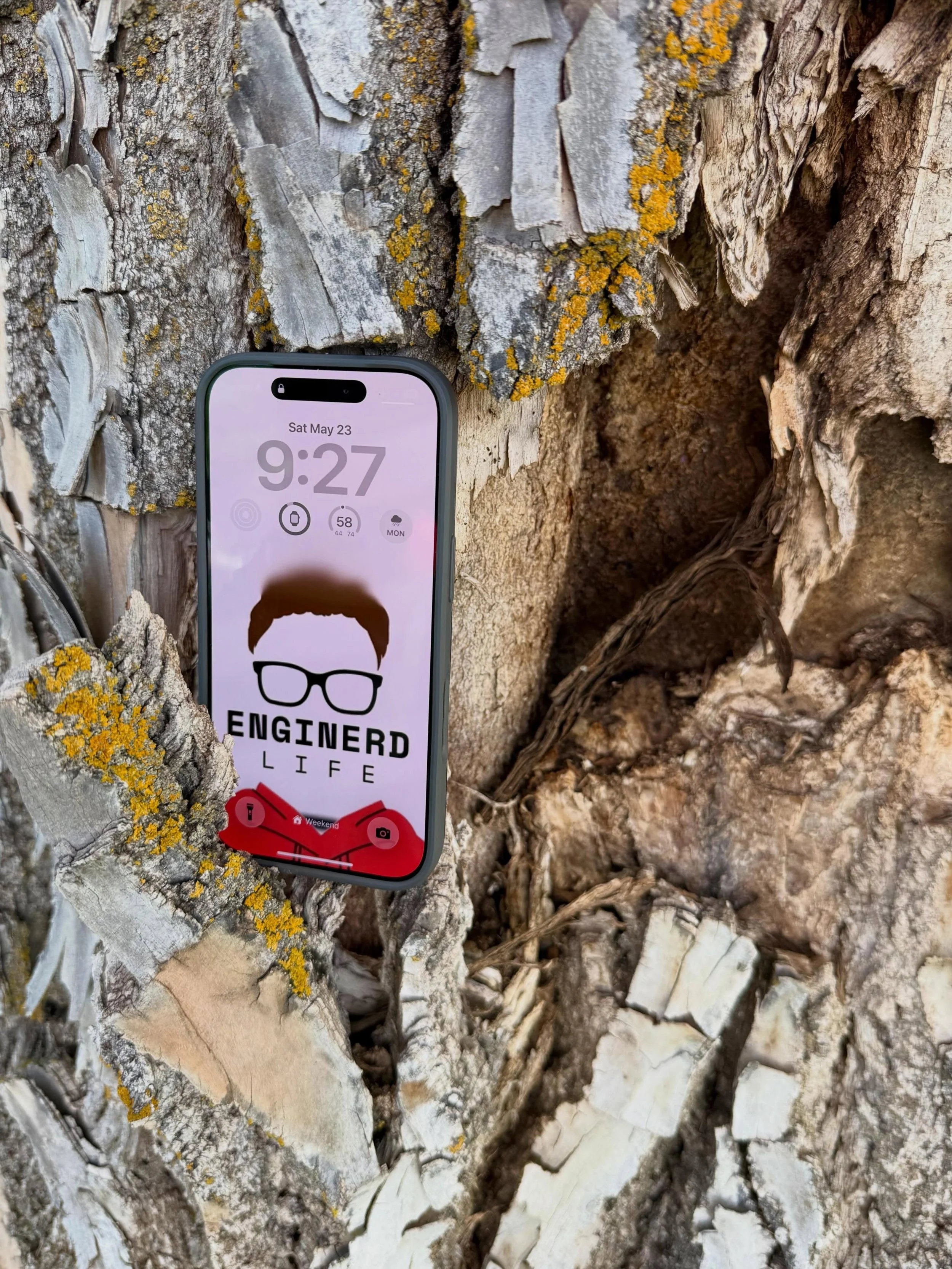 How strong is your tree?

In construction, we need to stop trying to hire superstars and start growing our trees. 

The coaching tree, that is. 

Bill Walsh is a legendary coach, but not because of the wins or the Super Bowls. Good coaches have those