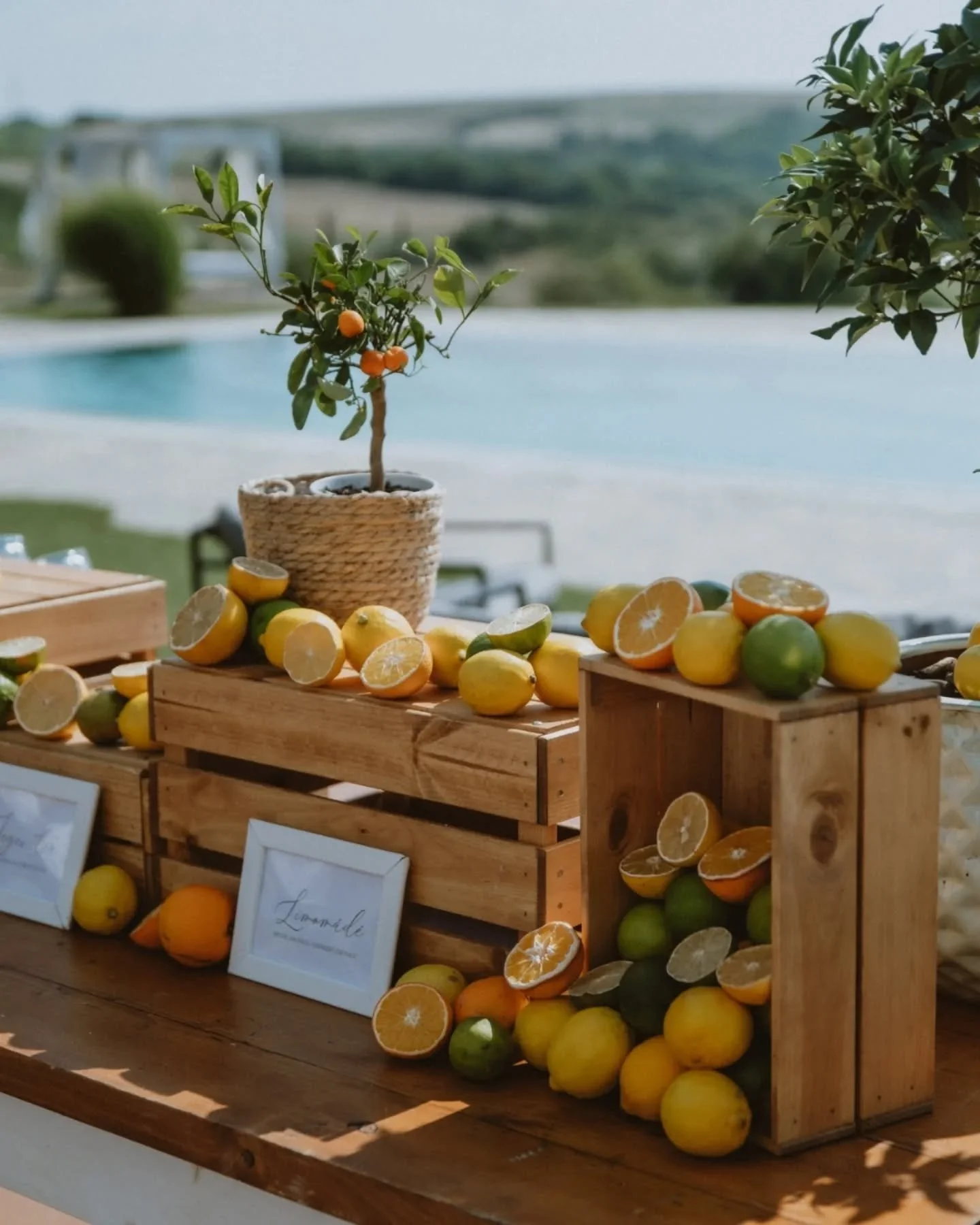 Évi & Levi wedding ✨ II Let's get into the coolness of this wedding. 😎 Tuscany vibes, amazing view at the ceremony, endless love, and the biggest party. One of the greatest example why I love my job so much. 🤗
.
.
venue: @hilltop_borbirt