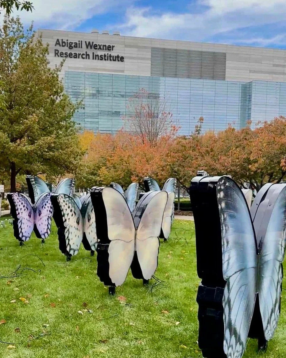 The butterflies are back at Nationwide Children's Hospital! 🦋

Stop by and see them &quot;Light Up the Lawn, Light Up a Life&quot; starting November 18th. 

This holiday season, you can bring joy to children and their families through a beautiful li
