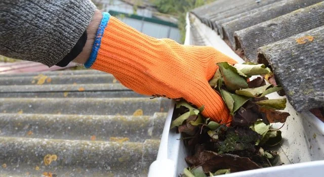 Person using an orange glove to clear leaves from a roof gutter.
