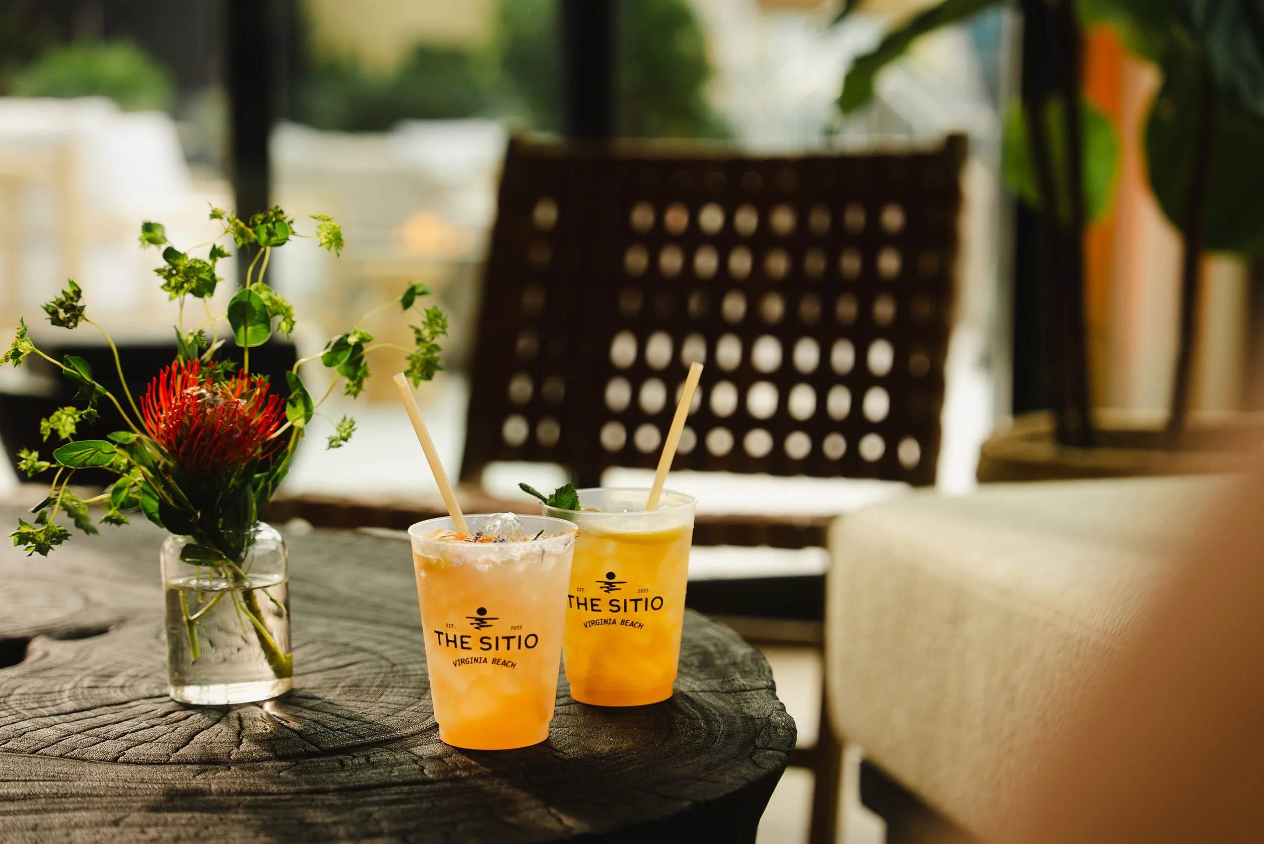 thesitio-openingweekend-march2026-4.jpg