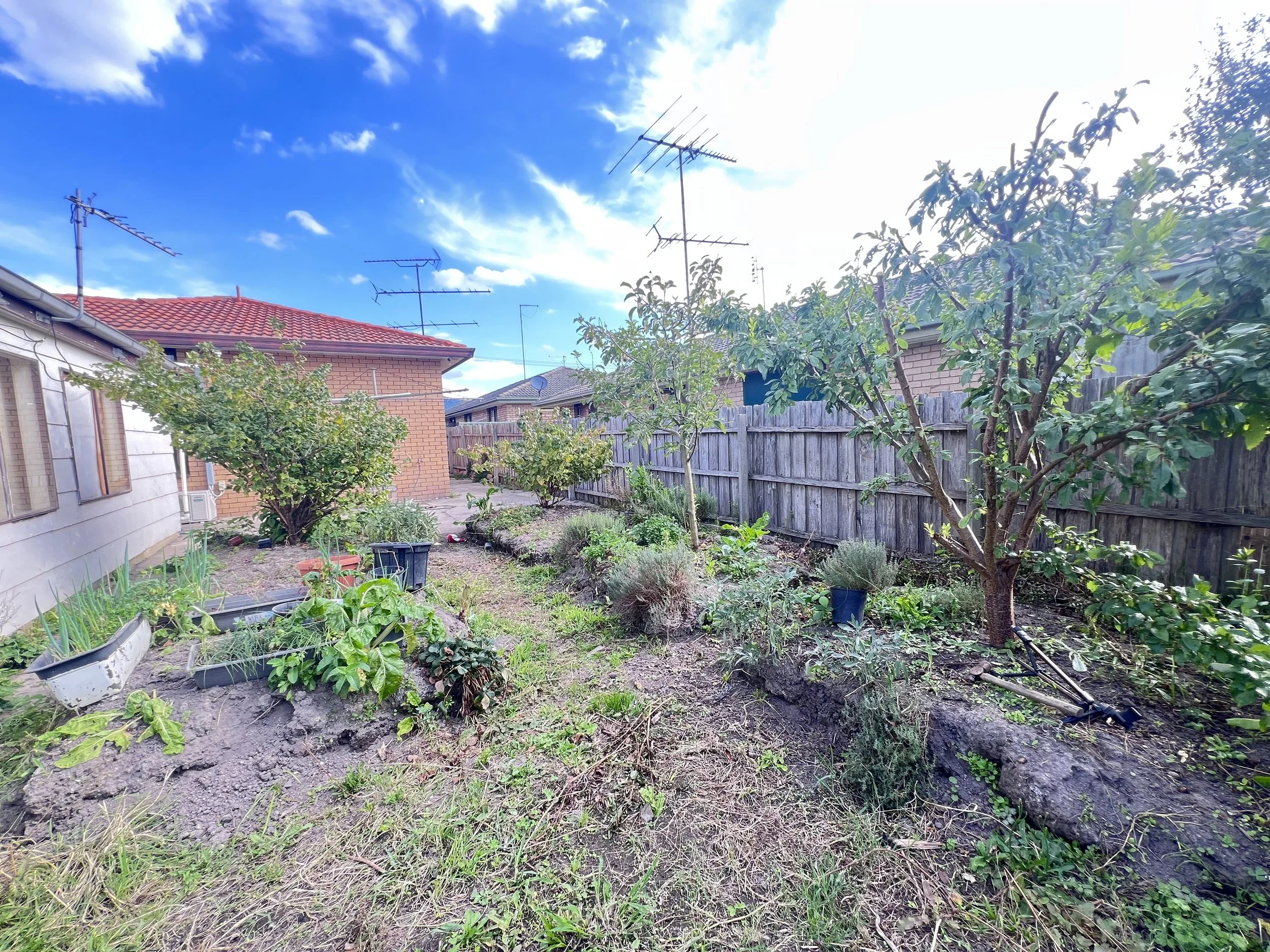 20 Abbott Street, Moe - 11.jpeg