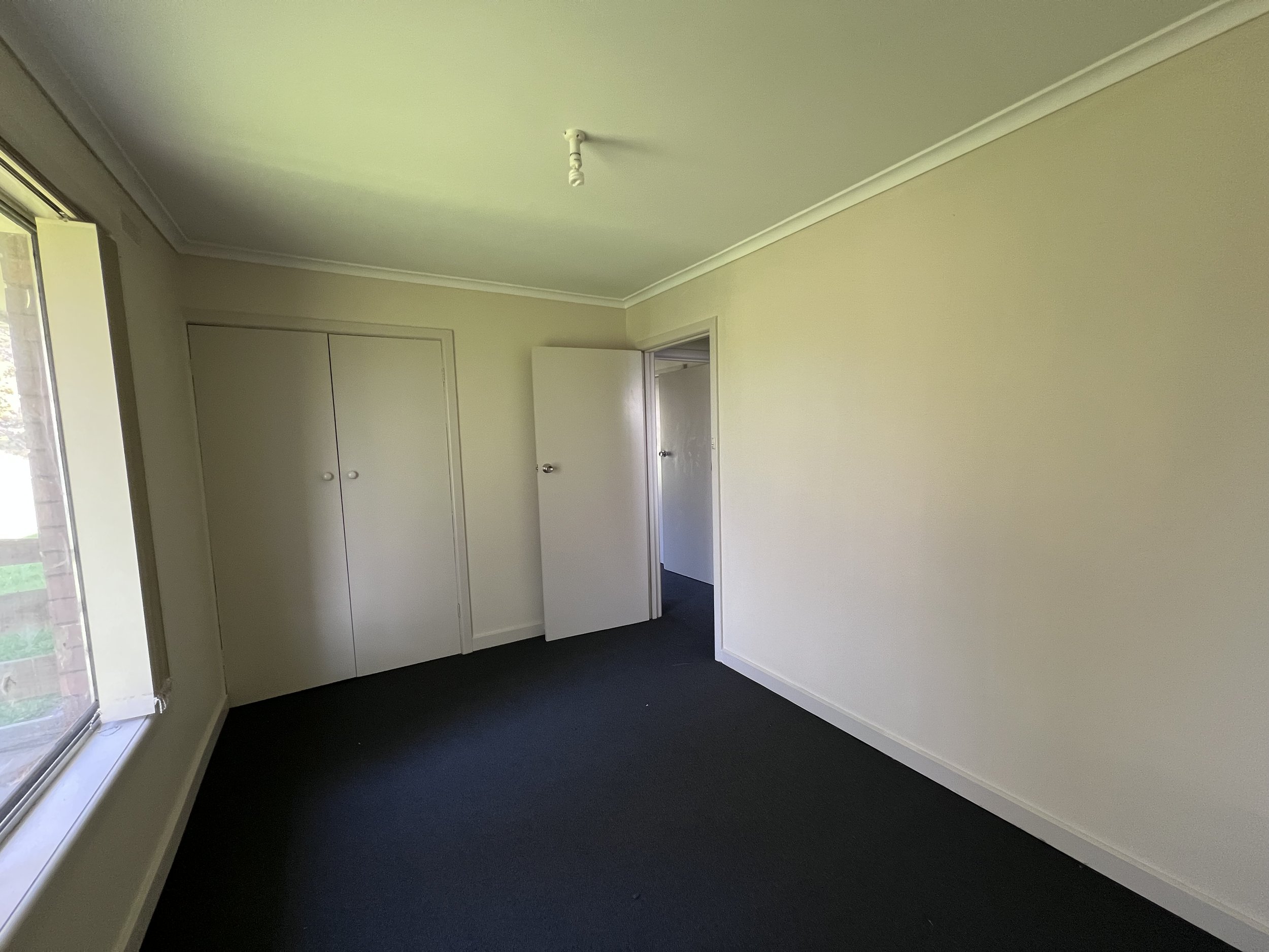 401 Moe-rawson Road, Tanjil South - 8.jpeg